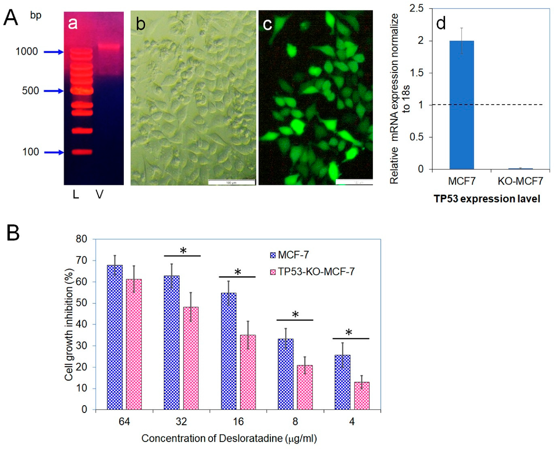 Cells 14 01725 g007 Cells 14 01725 g007