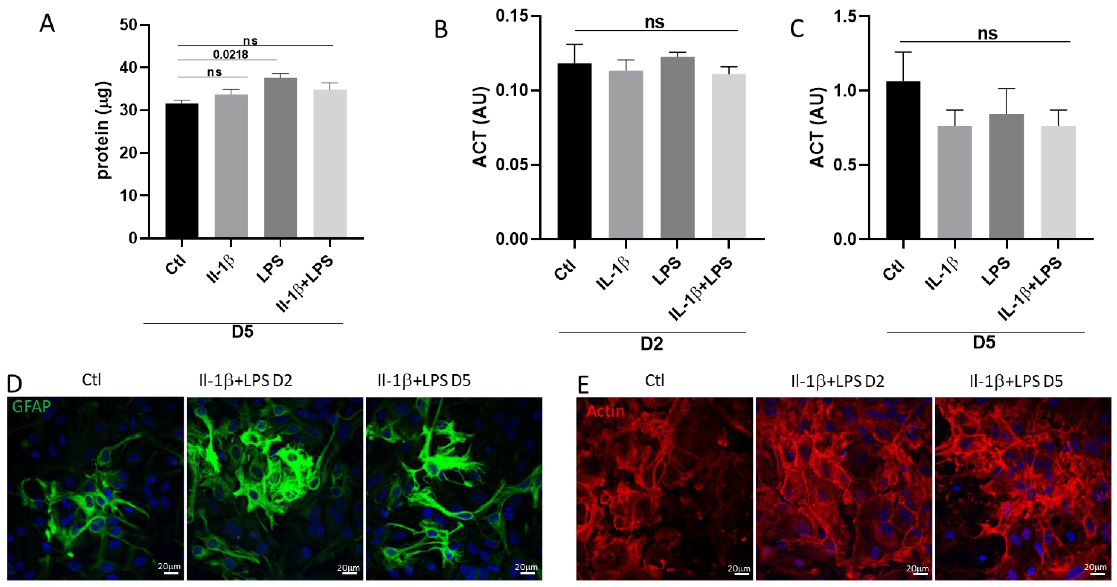 Cells 14 01737 g003 Cells 14 01737 g003