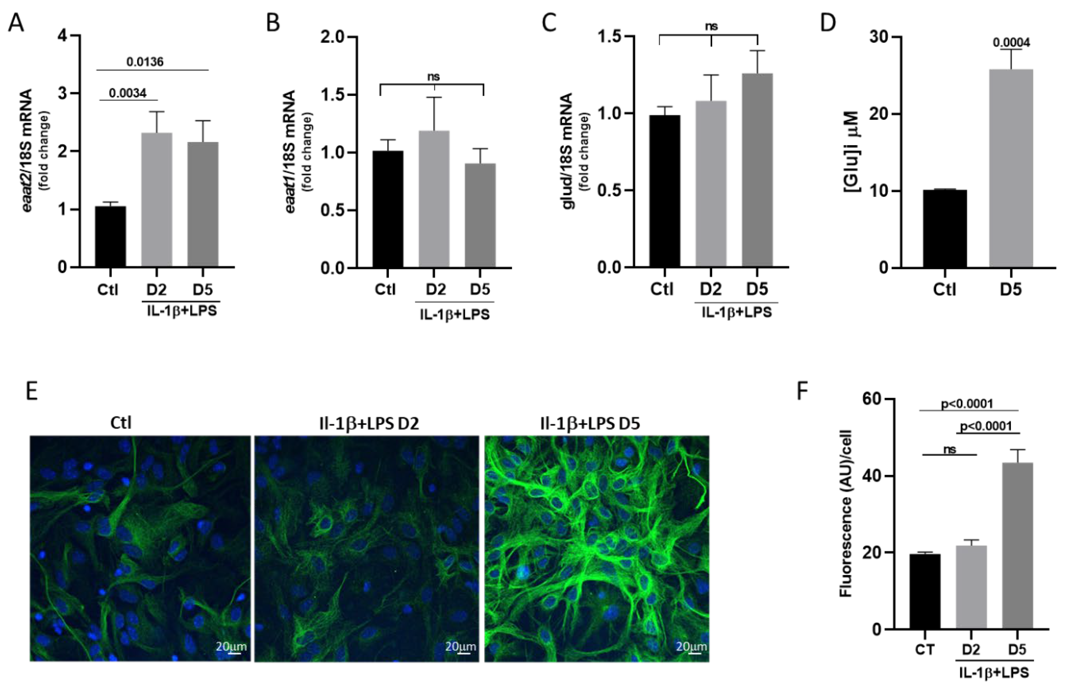 Cells 14 01737 g004 Cells 14 01737 g004