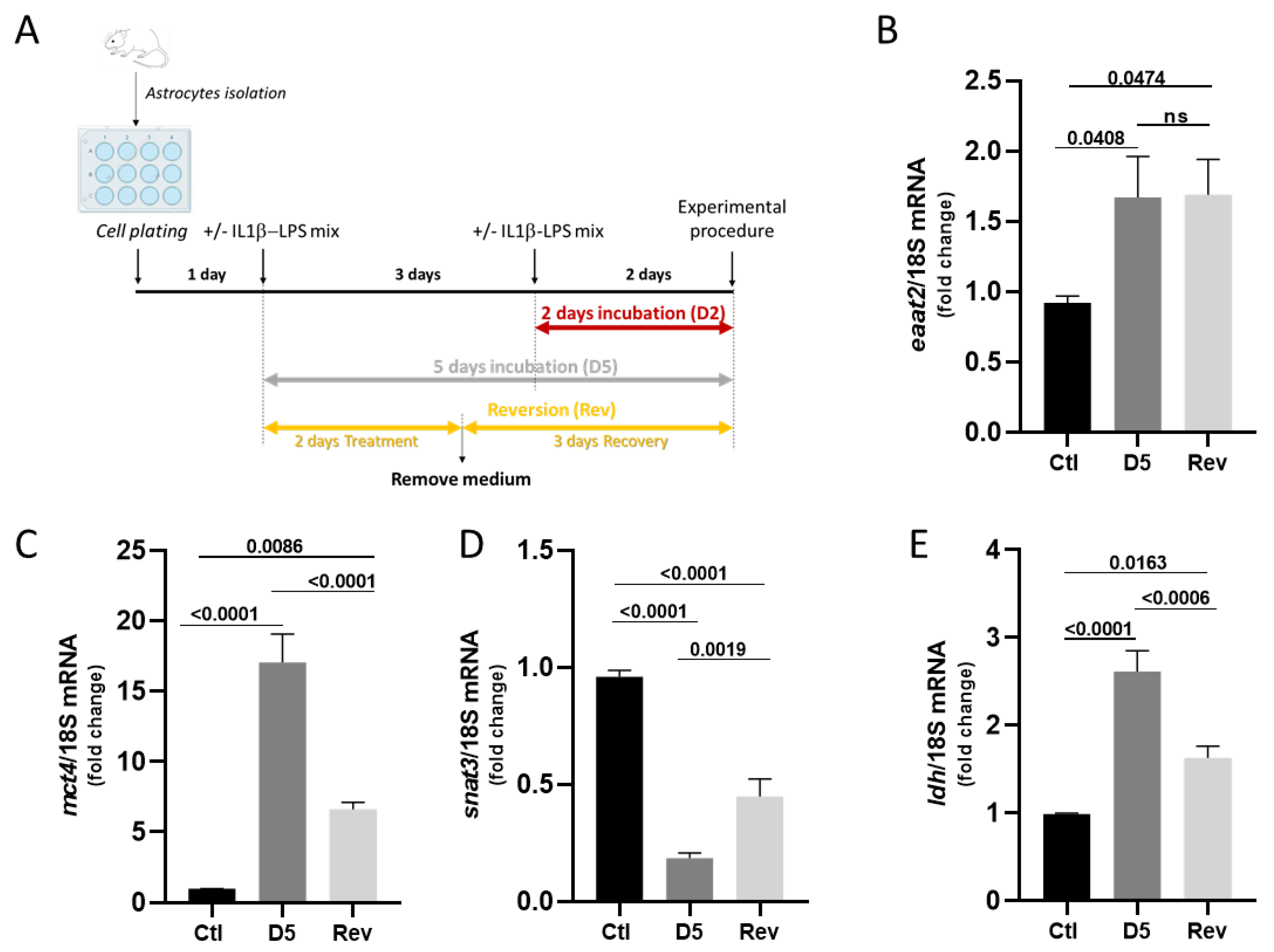 Cells 14 01737 g008 Cells 14 01737 g008