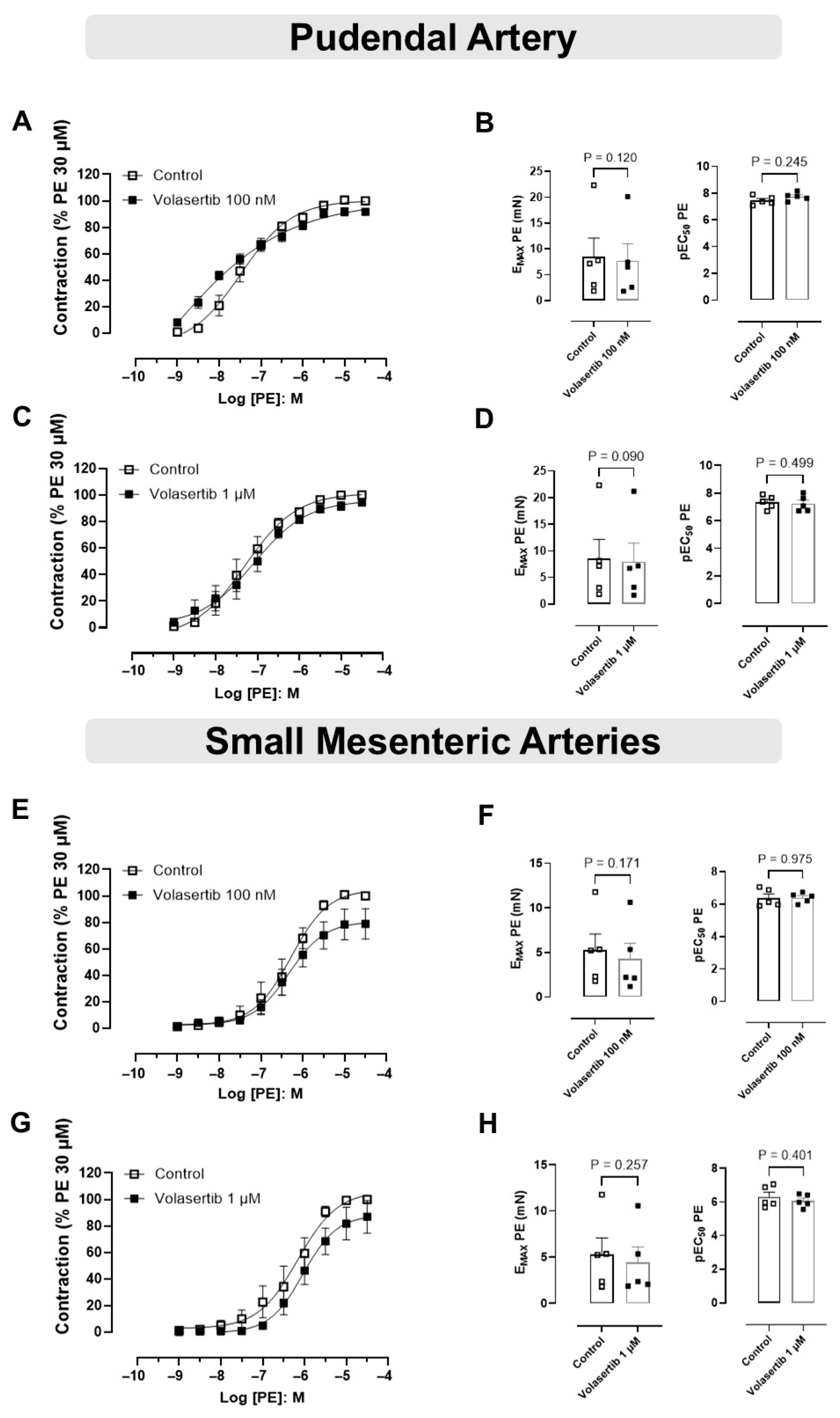 Cells 14 01741 g002 Cells 14 01741 g002