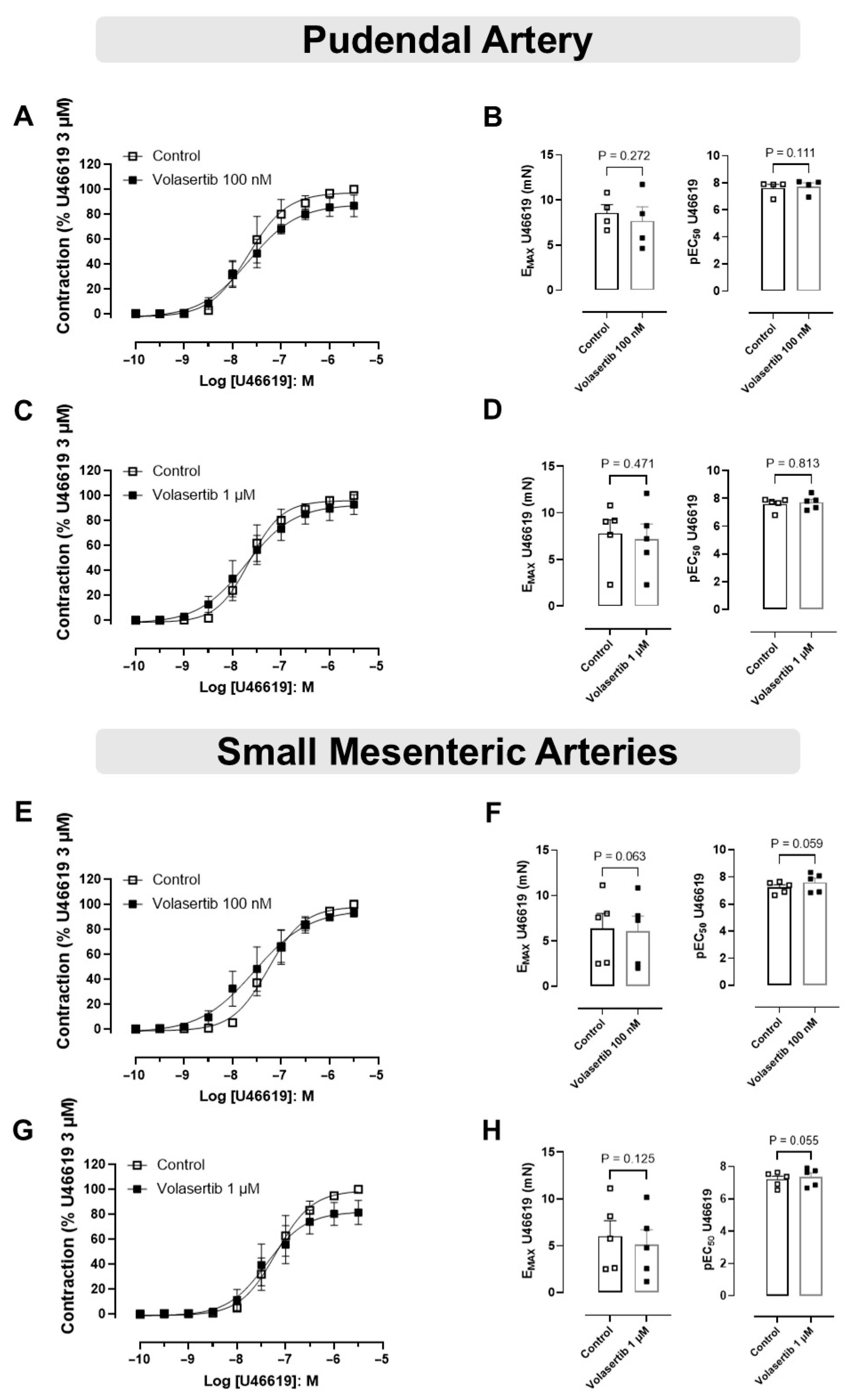 Cells 14 01741 g003 Cells 14 01741 g003