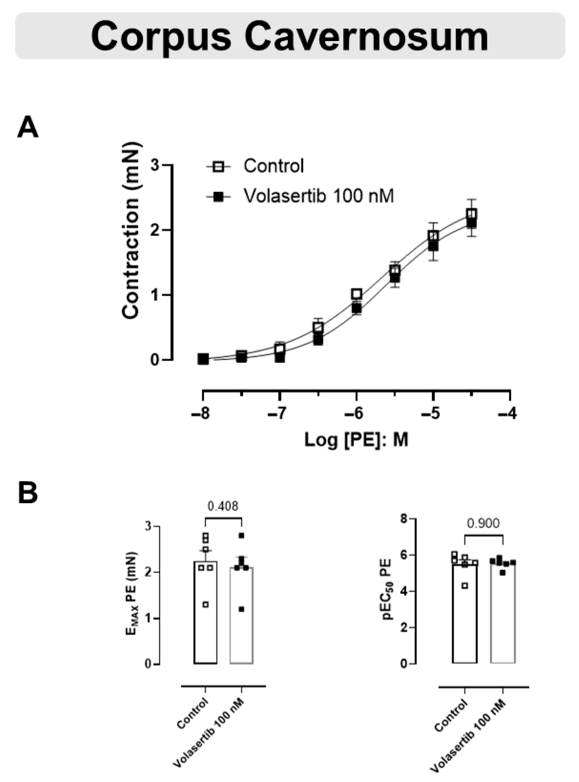 Cells 14 01741 g005 Cells 14 01741 g005