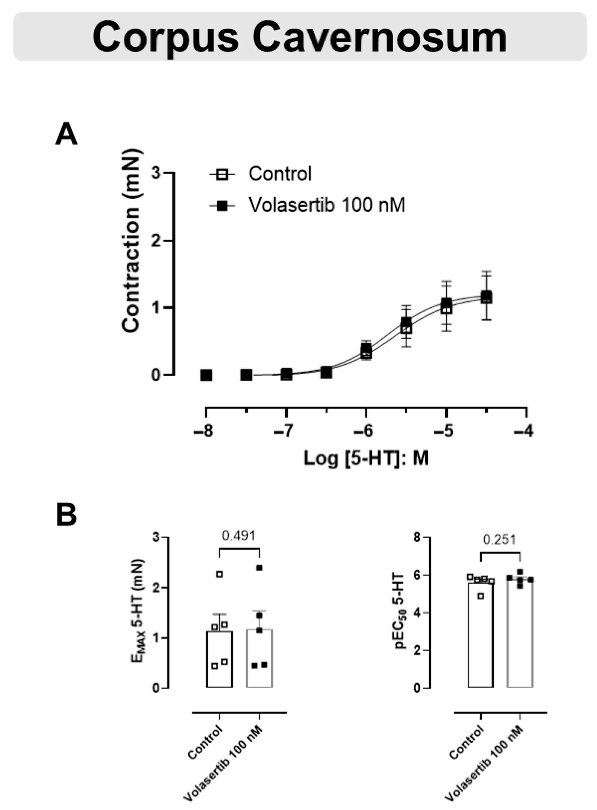Cells 14 01741 g006 Cells 14 01741 g006