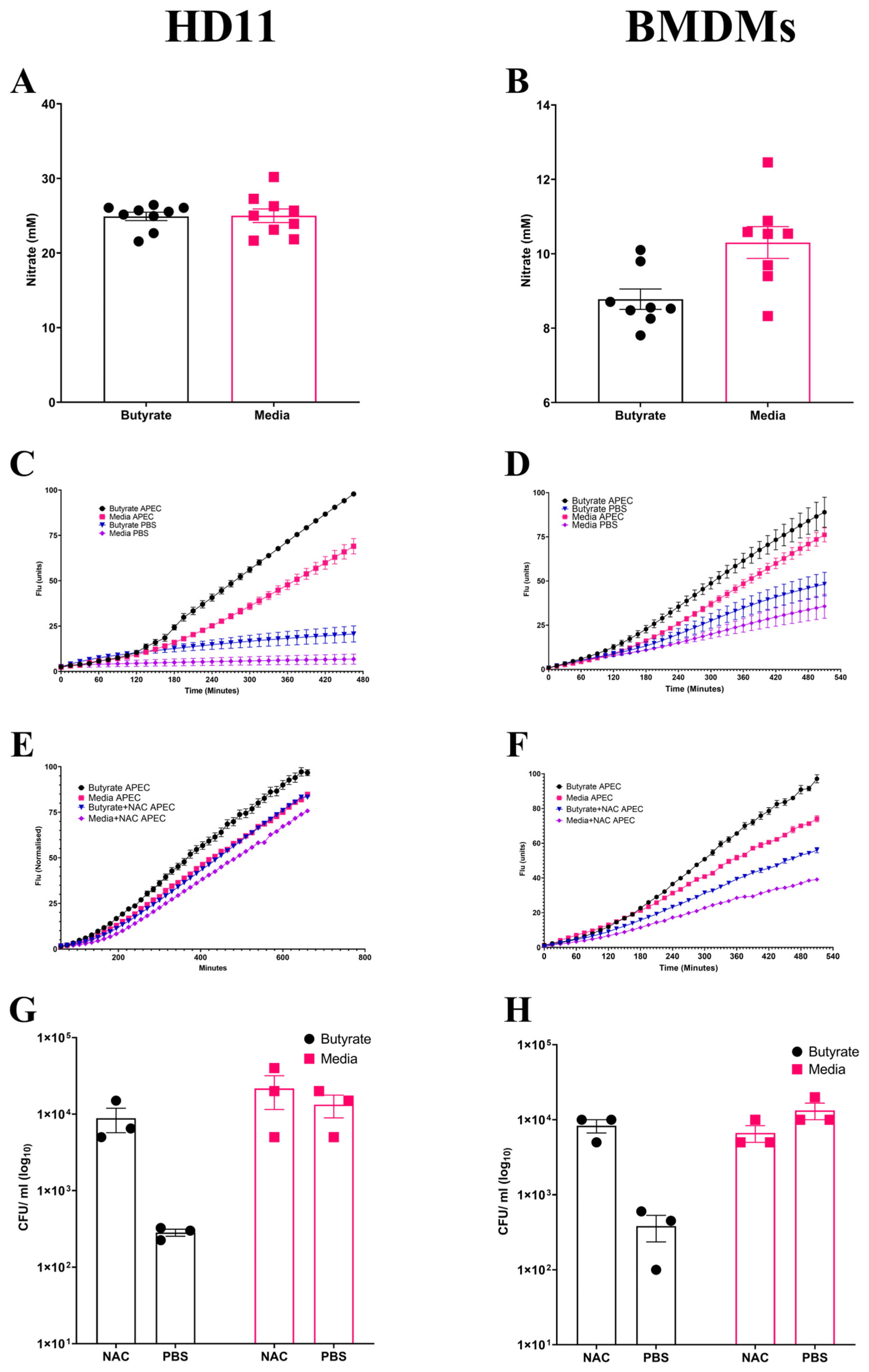 Cells 14 01742 g003 Cells 14 01742 g003