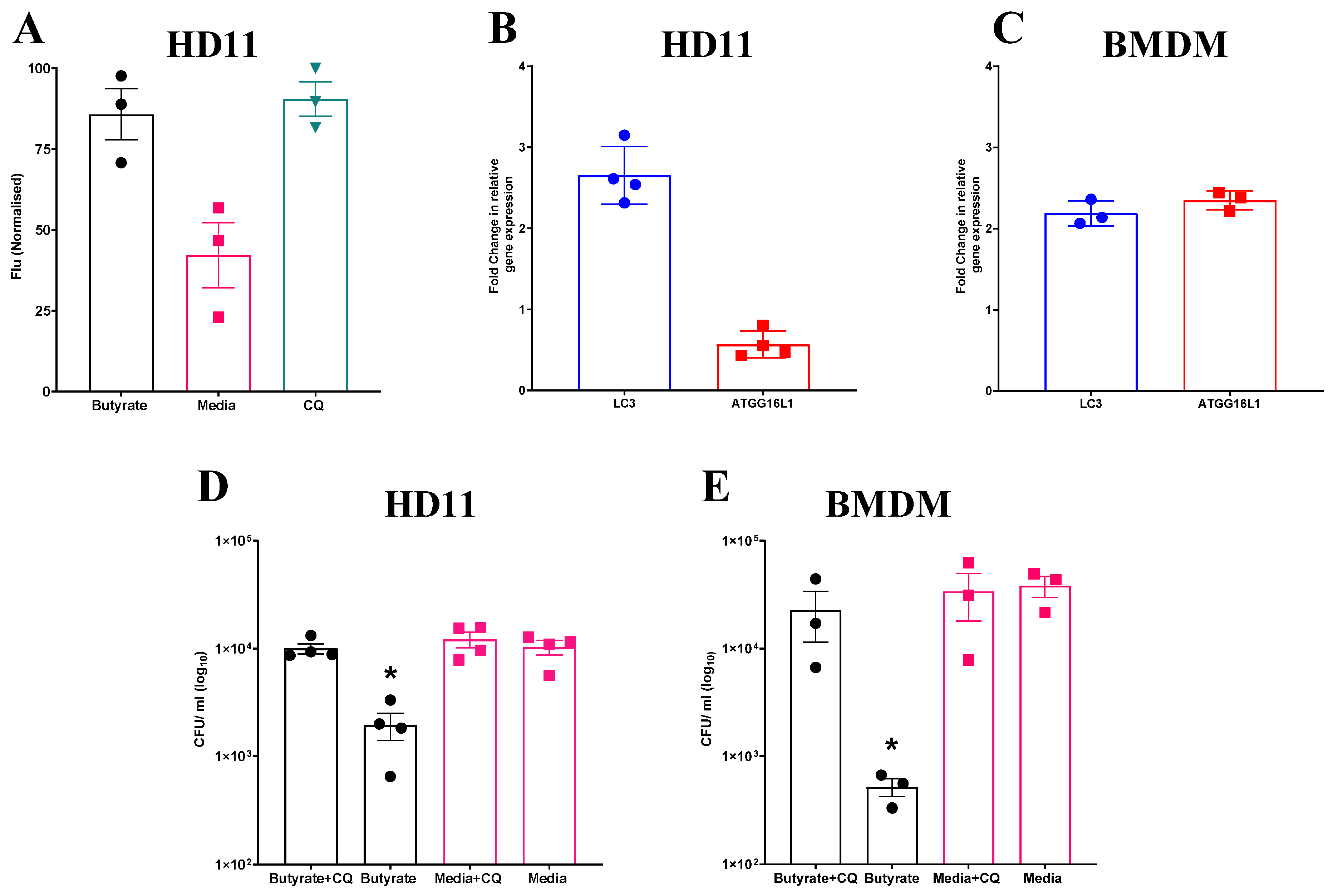 Cells 14 01742 g004 Cells 14 01742 g004