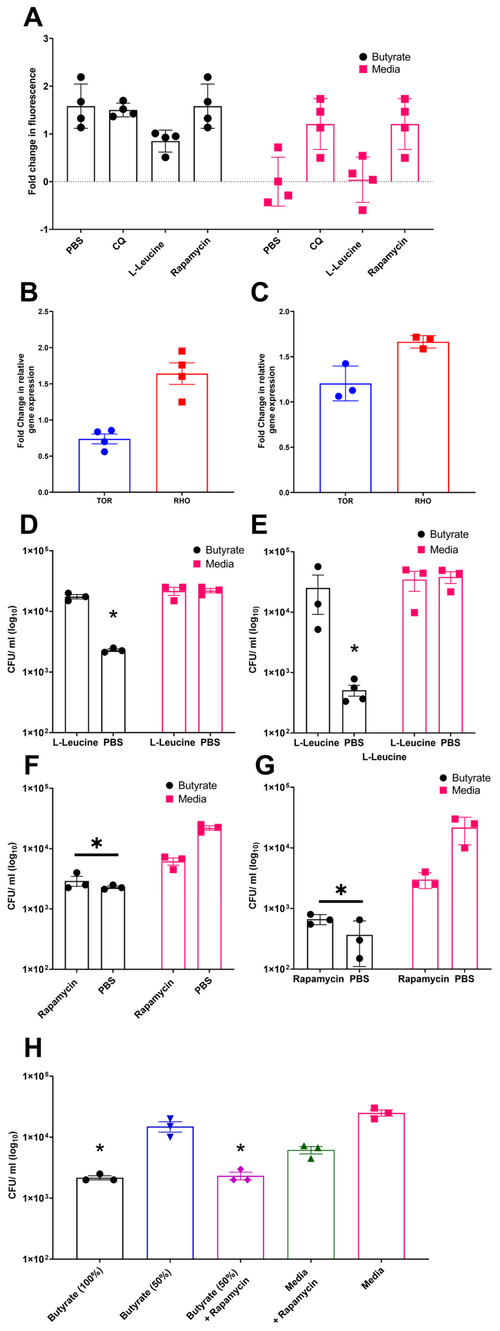 Cells 14 01742 g005 Cells 14 01742 g005