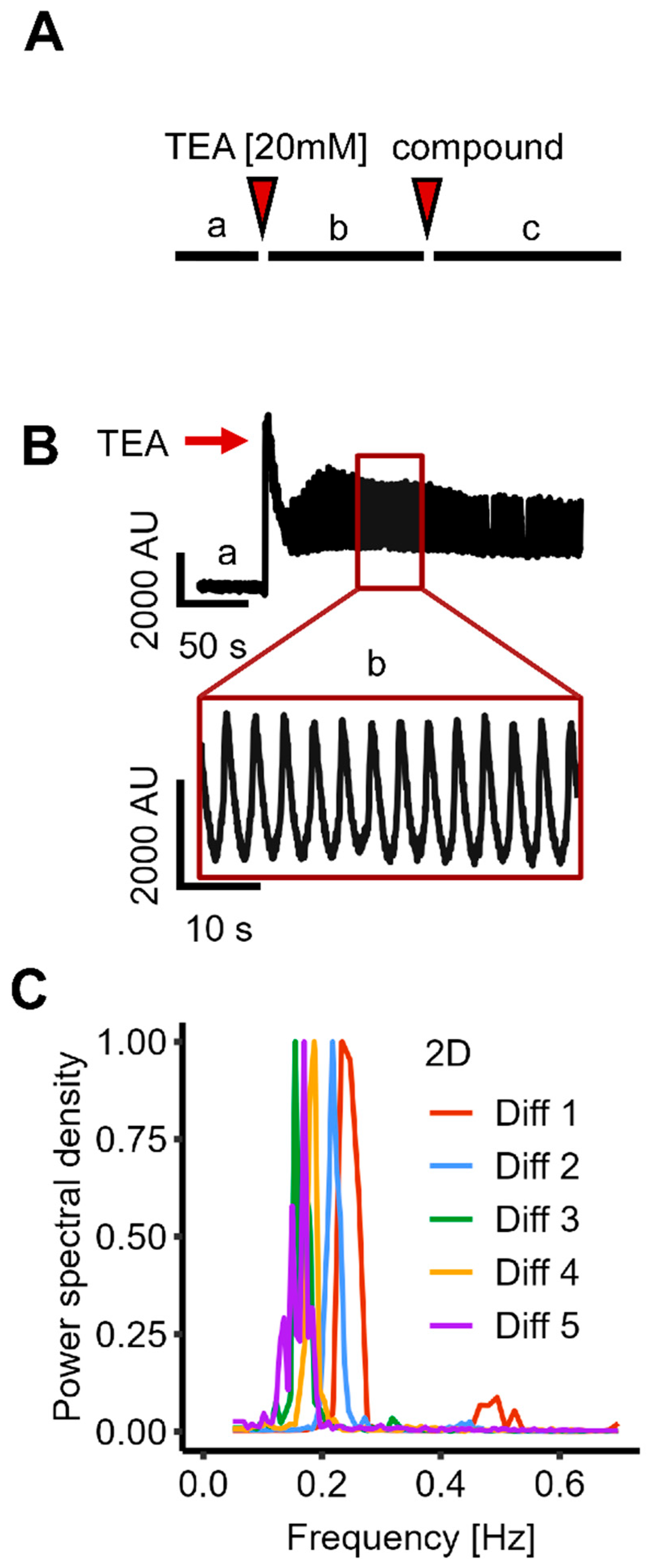 Cells 14 01744 g001 Cells 14 01744 g001