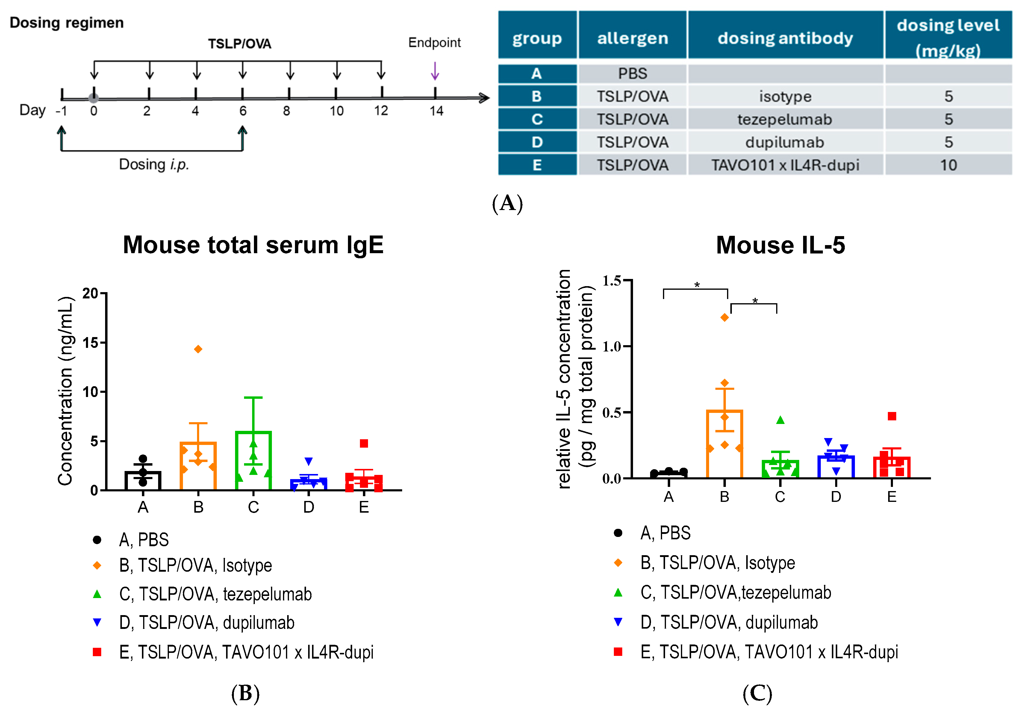 Cells 14 01747 g006a Cells 14 01747 g006a