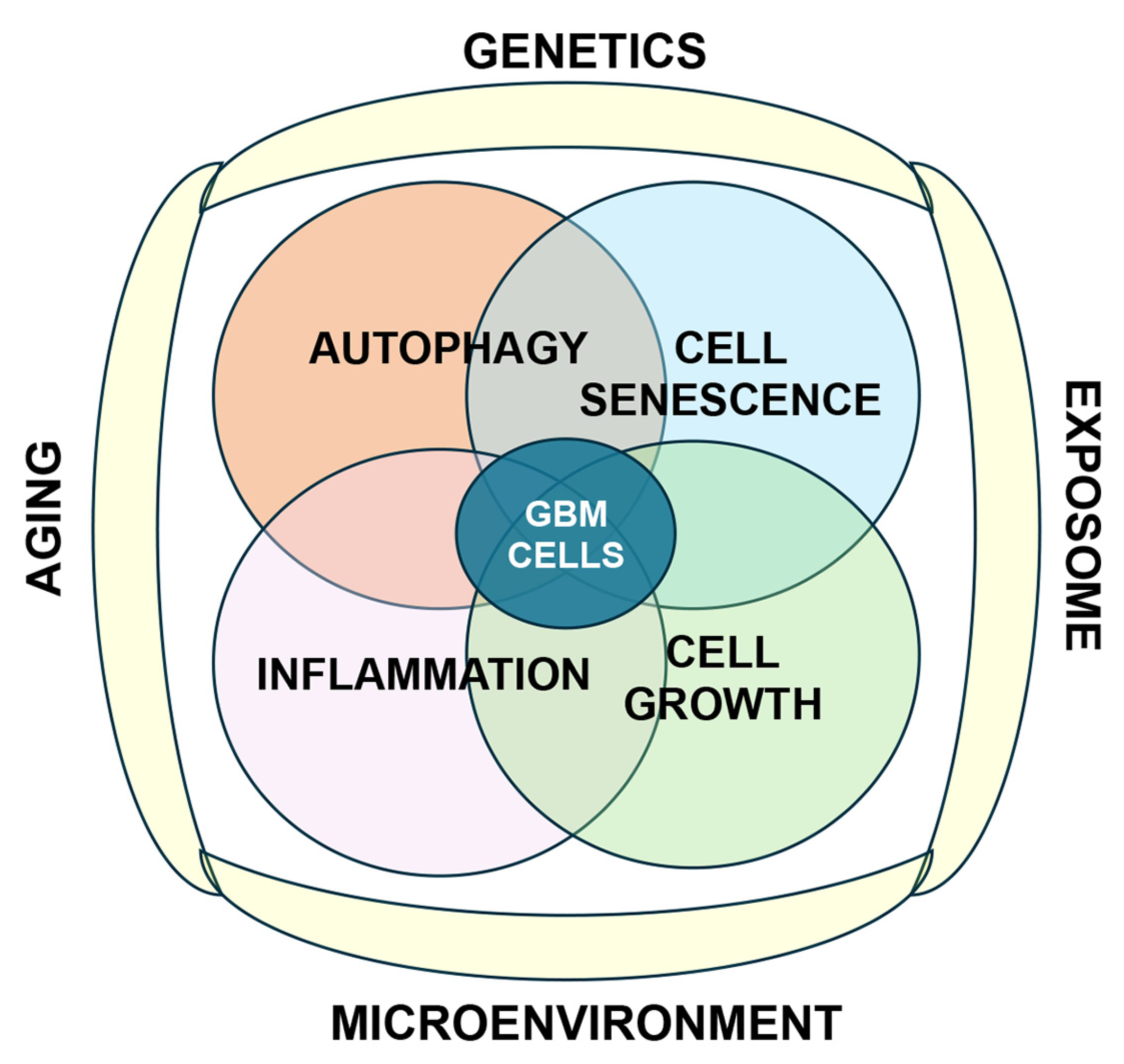 Cells 14 01764 g002 Cells 14 01764 g002