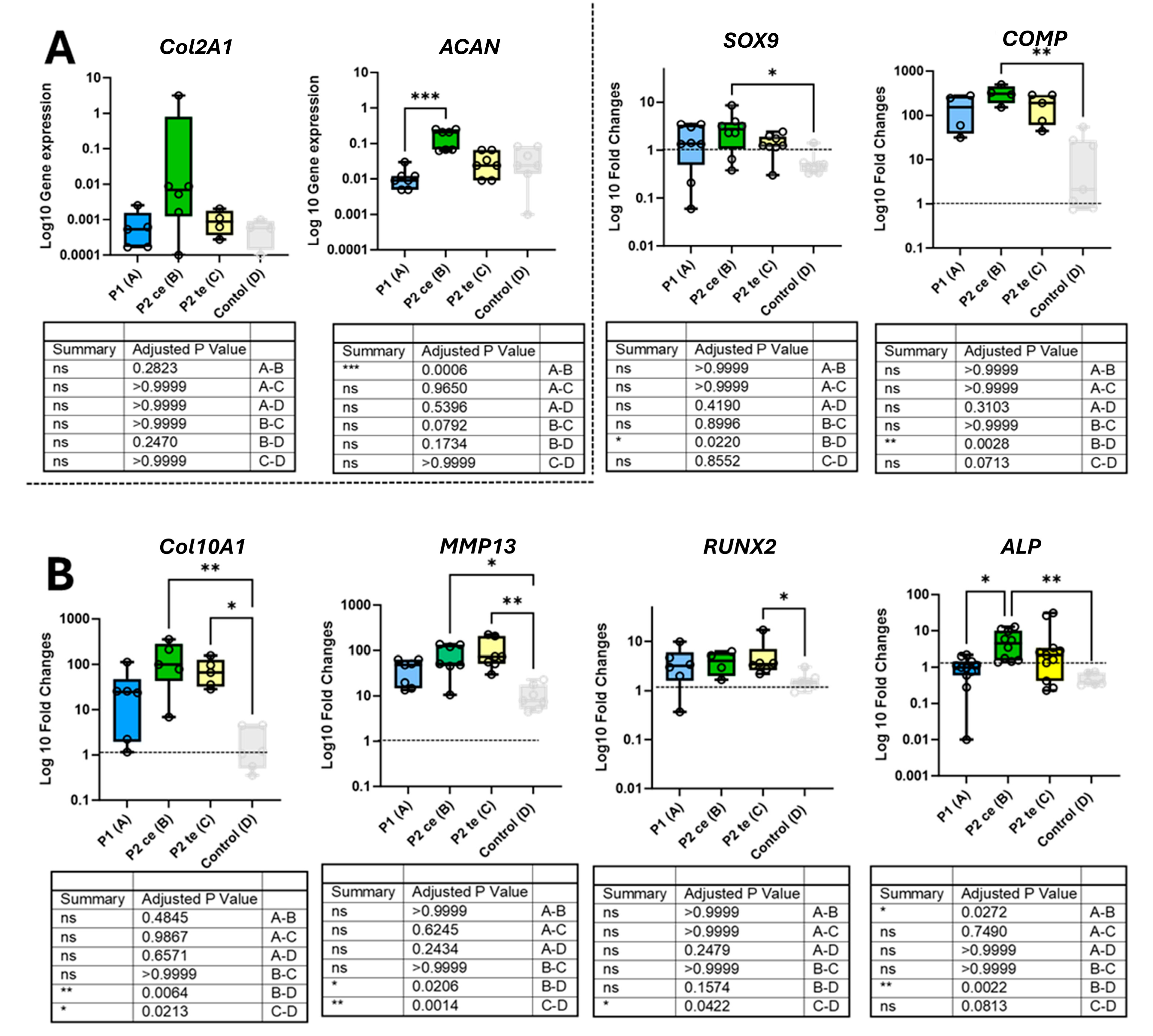 Cells 14 01773 g005 Cells 14 01773 g005
