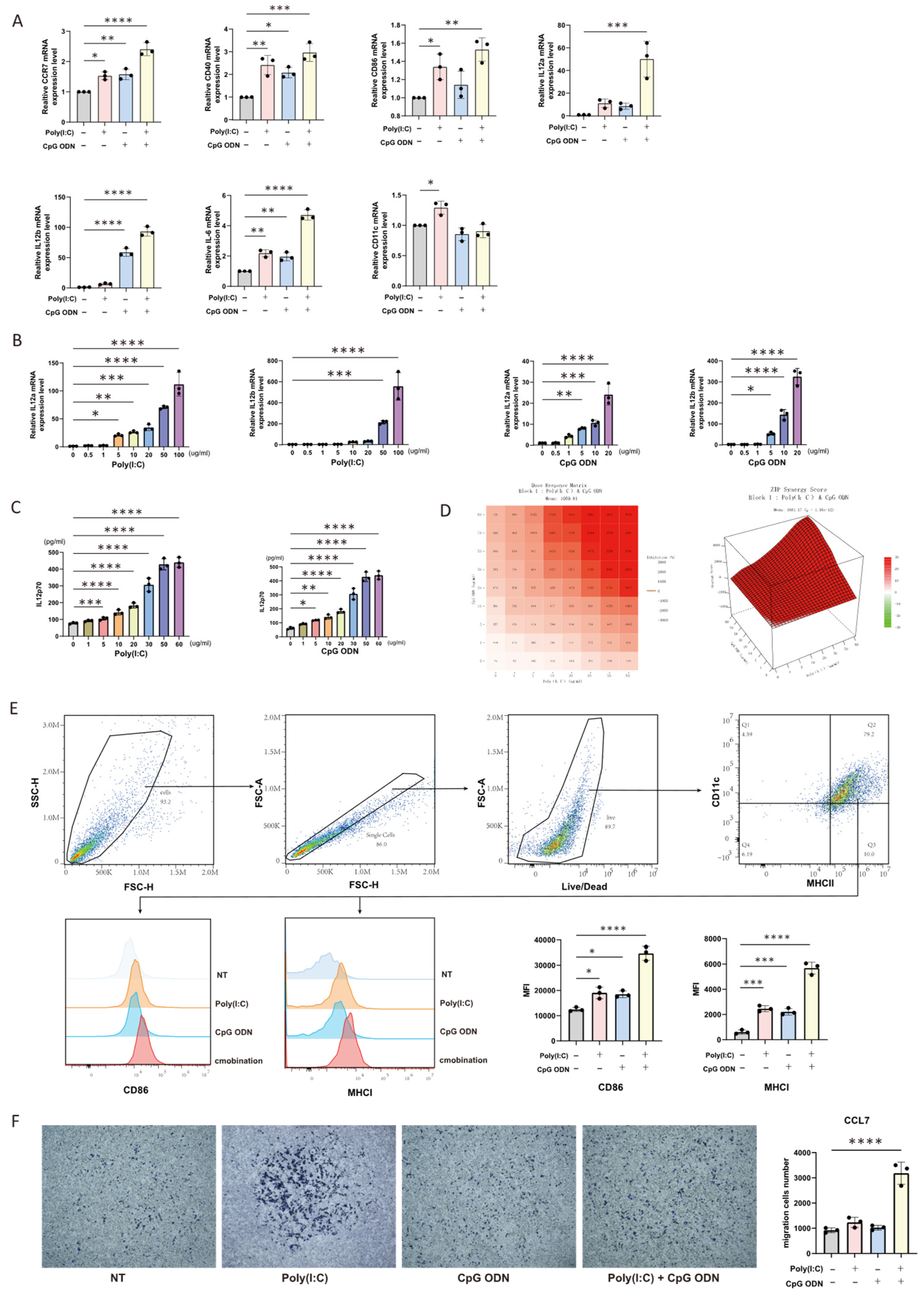Cells 14 01785 g001 Cells 14 01785 g001
