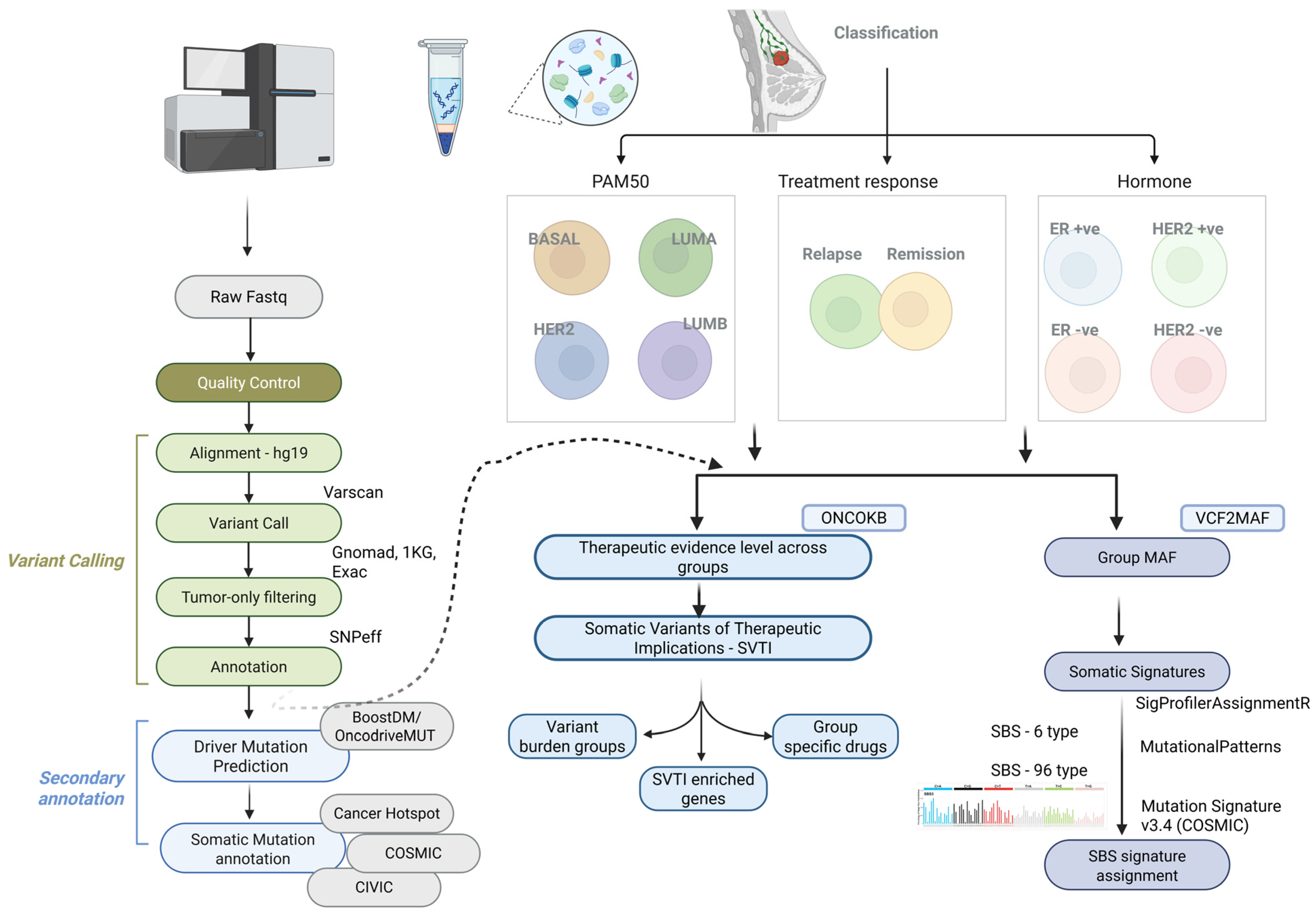 Cells 14 01791 g001 Cells 14 01791 g001