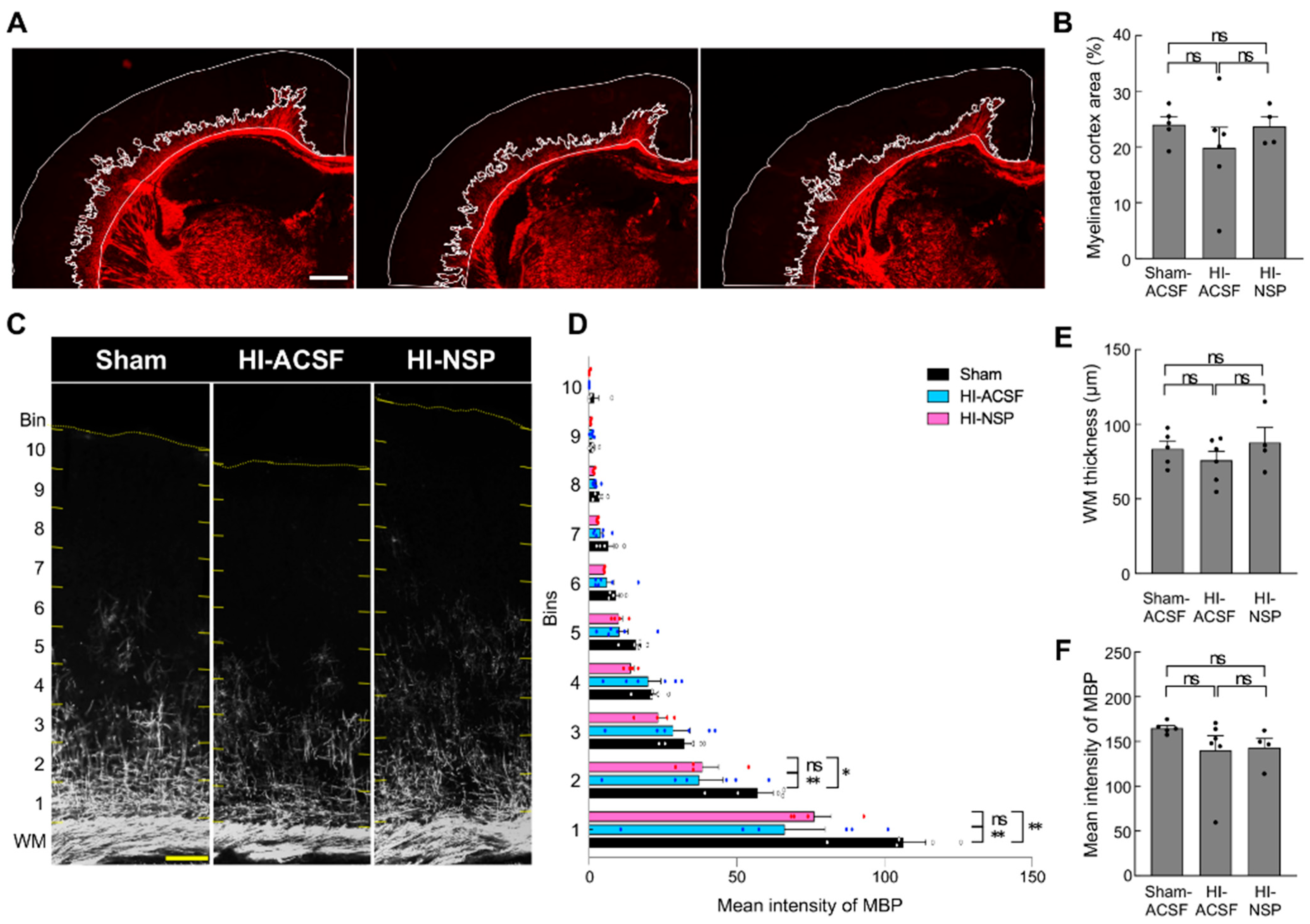 Cells 14 01840 g007 Cells 14 01840 g007