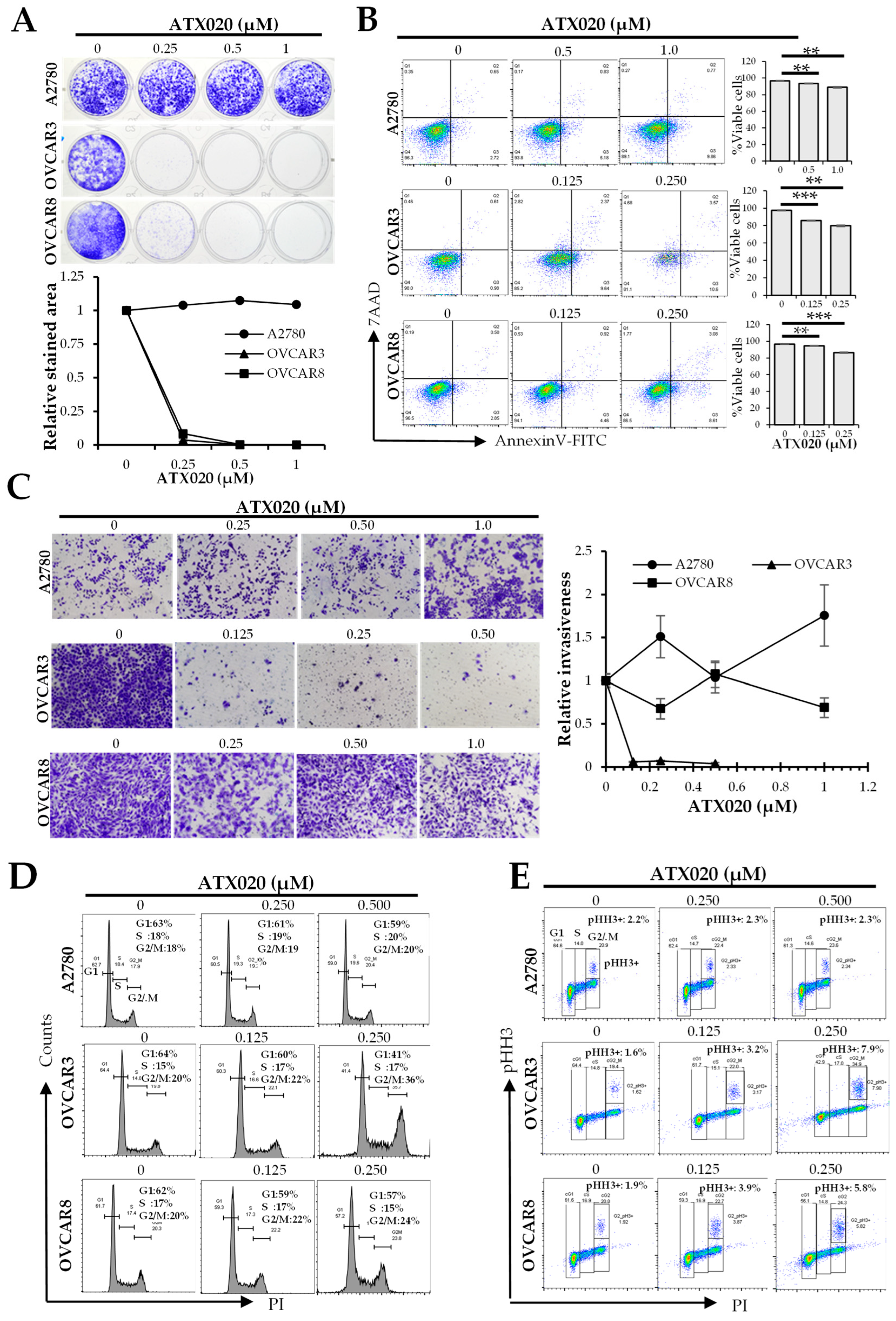 Cells 14 01863 g002
