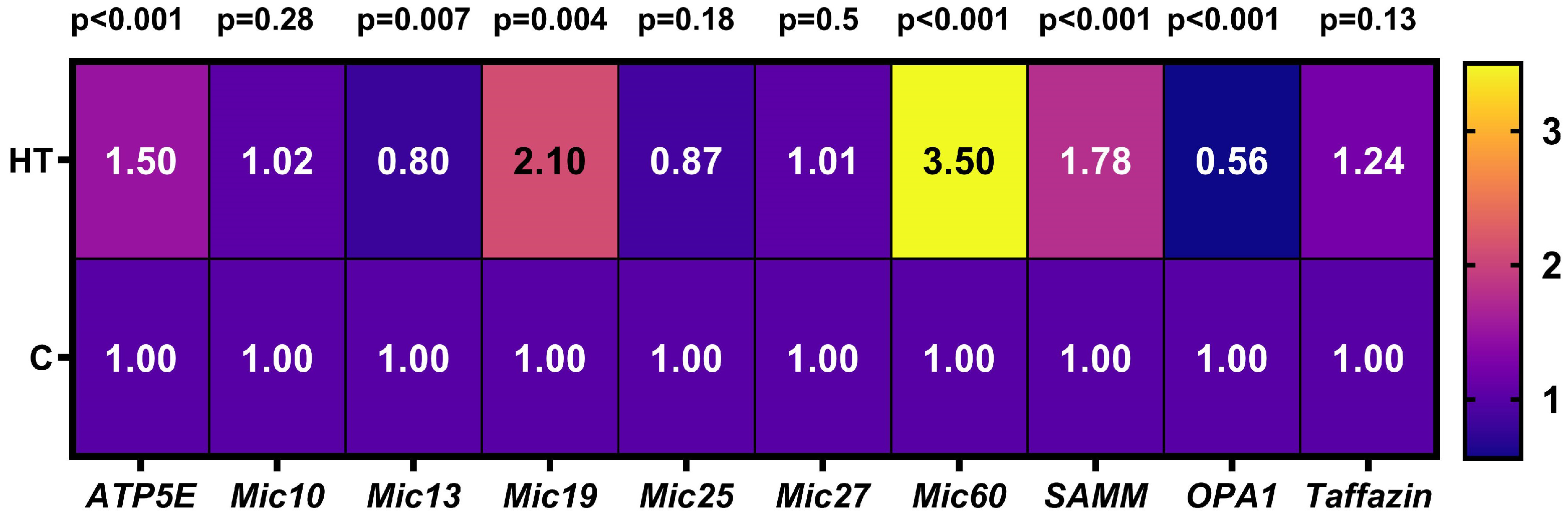 Cells 14 01877 g001 Cells 14 01877 g001
