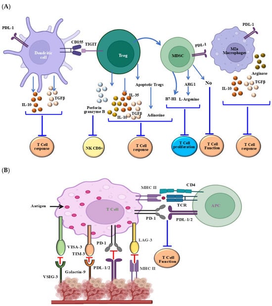 Cells 14 01884 g005a Cells 14 01884 g005a