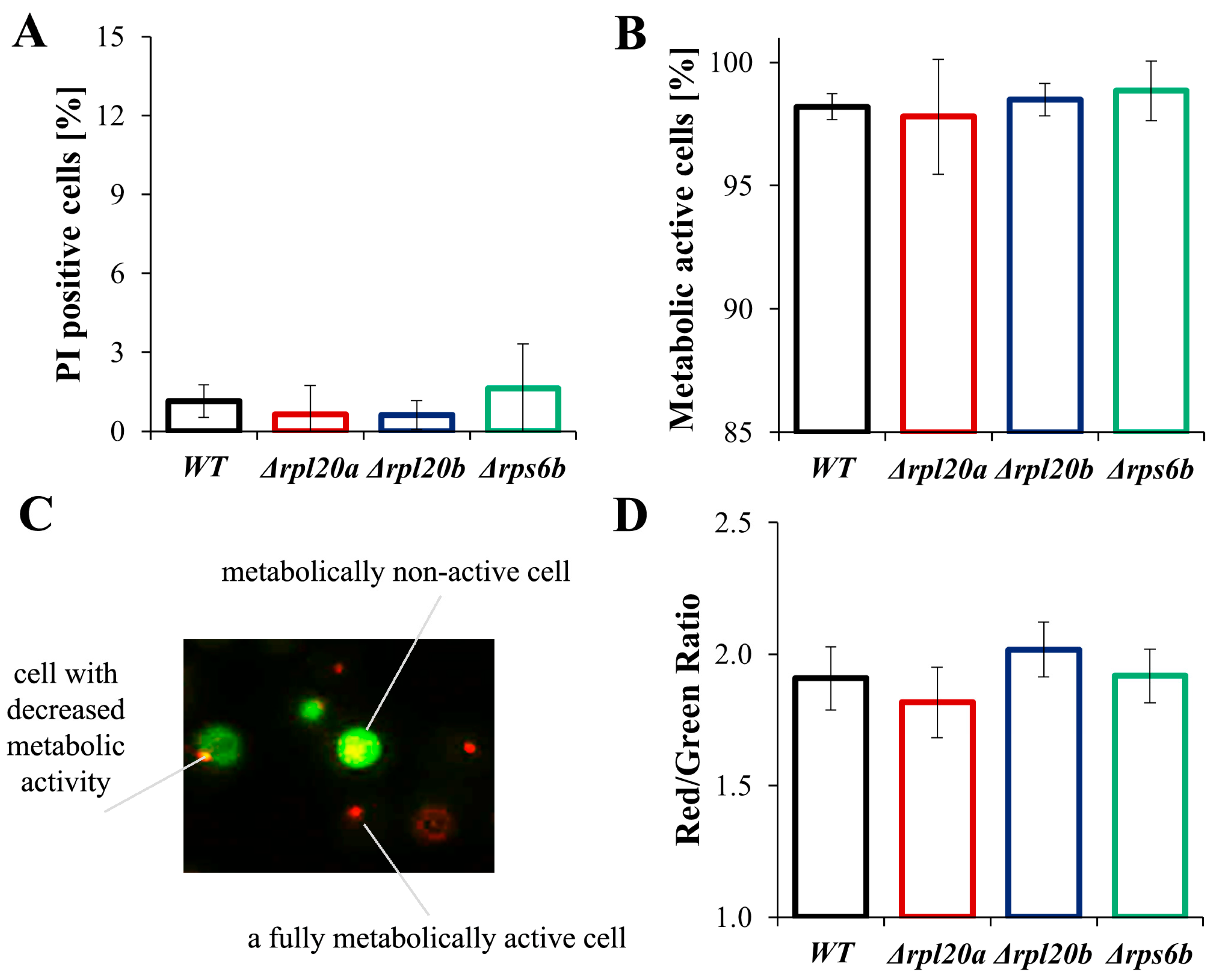 Cells 14 01901 g006 Cells 14 01901 g006