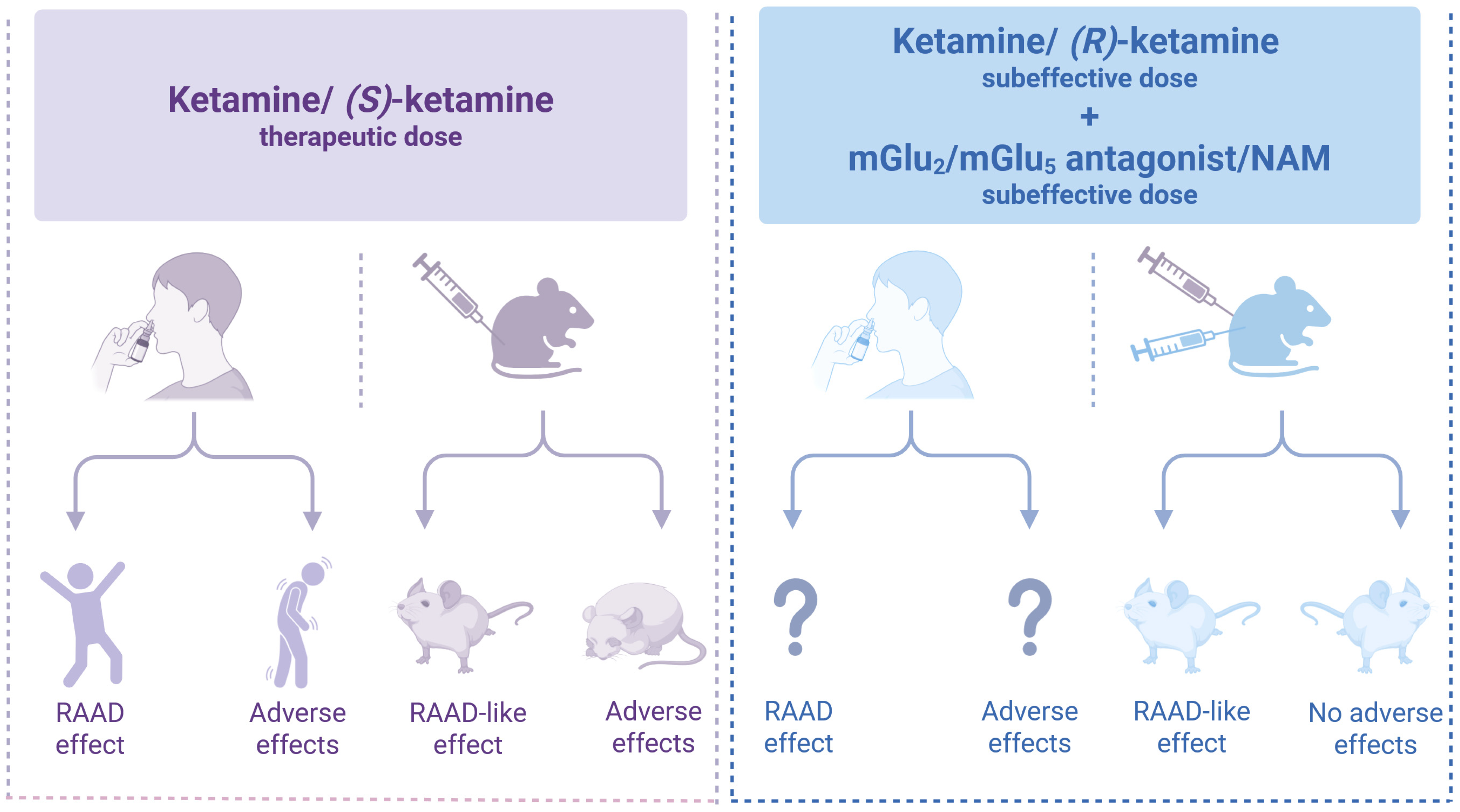 Cells 14 01967 g003 Cells 14 01967 g003