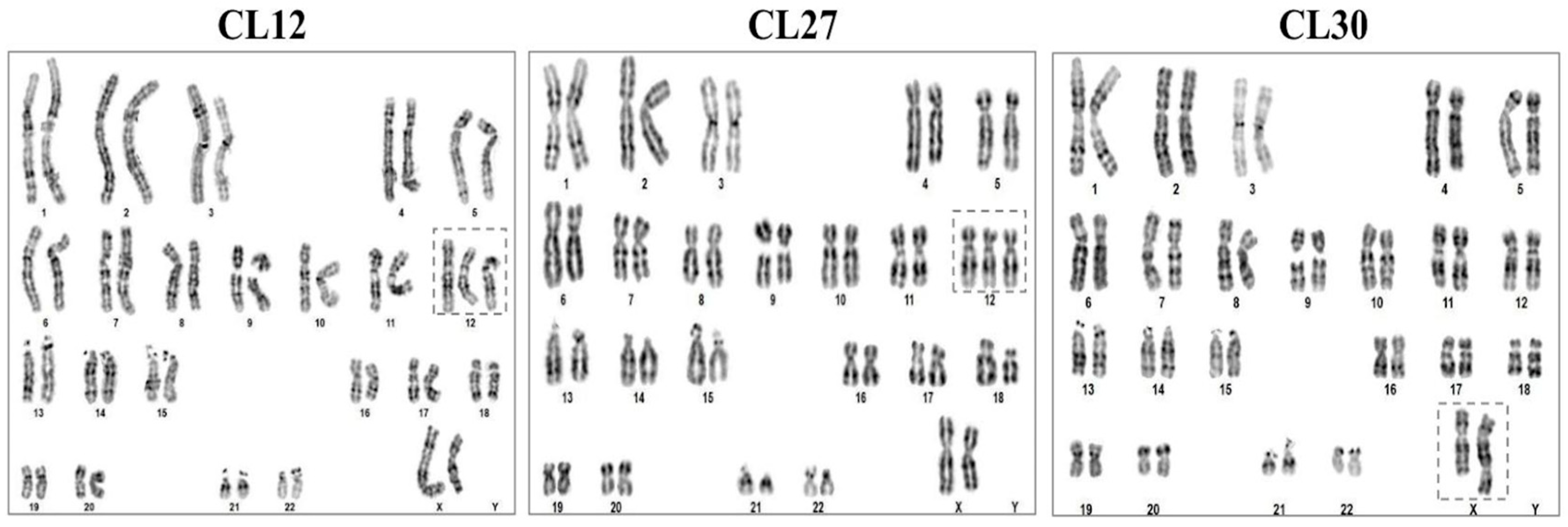 Cells 14 01985 g002 Cells 14 01985 g002