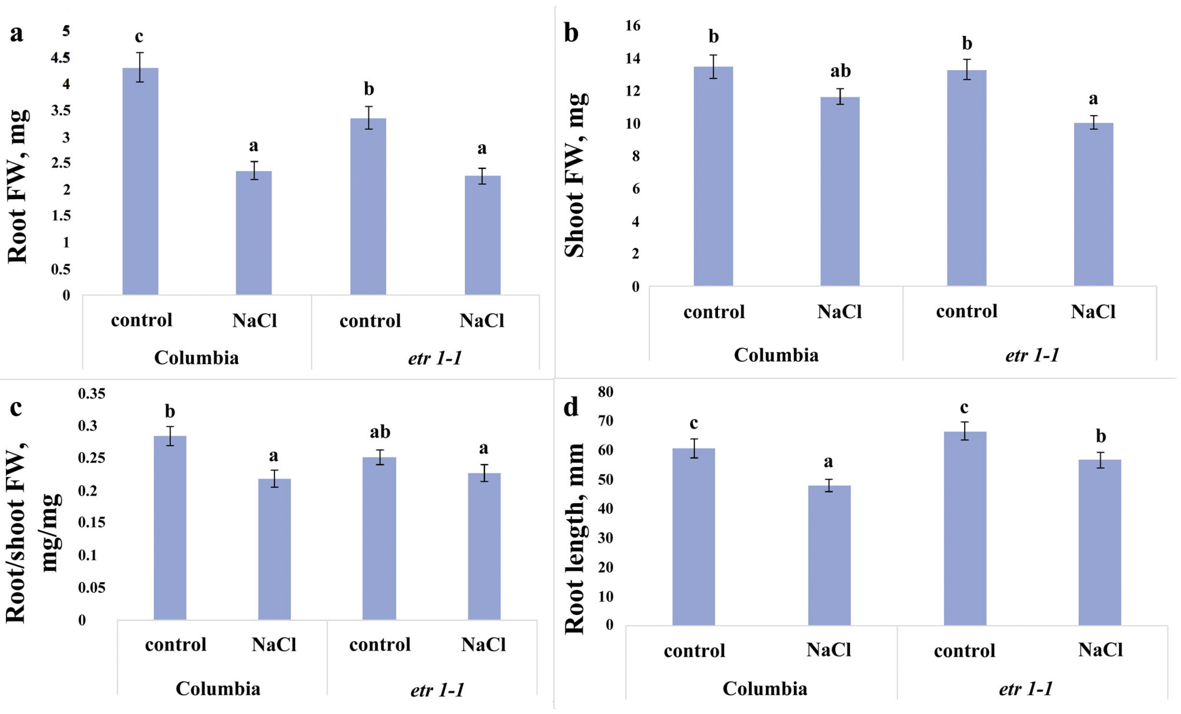 Cells 14 02003 g001 Cells 14 02003 g001