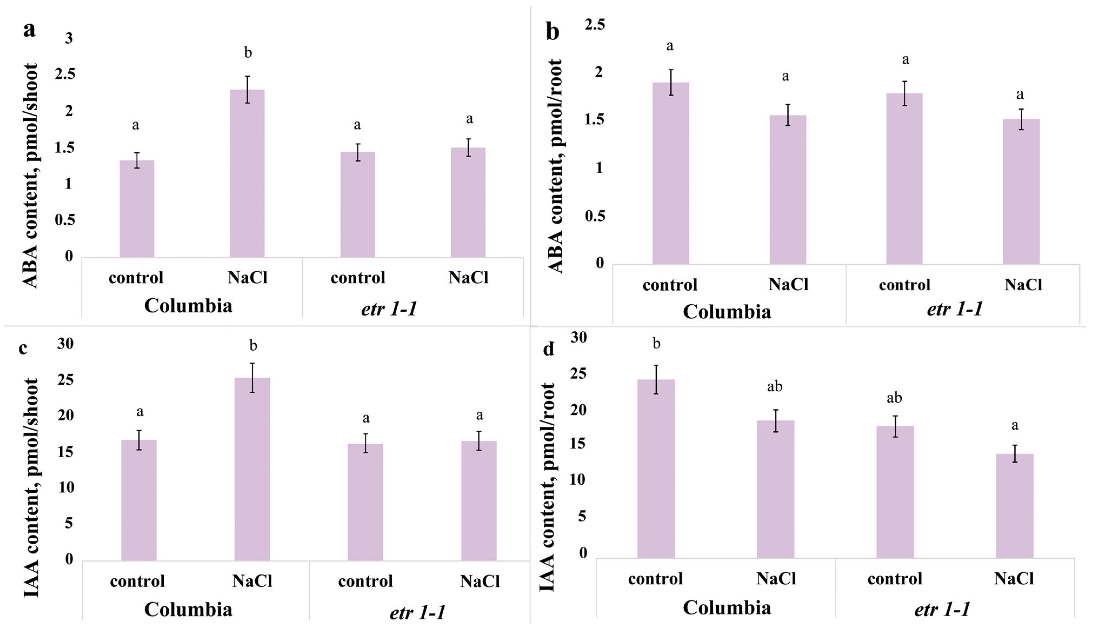 Cells 14 02003 g002 Cells 14 02003 g002