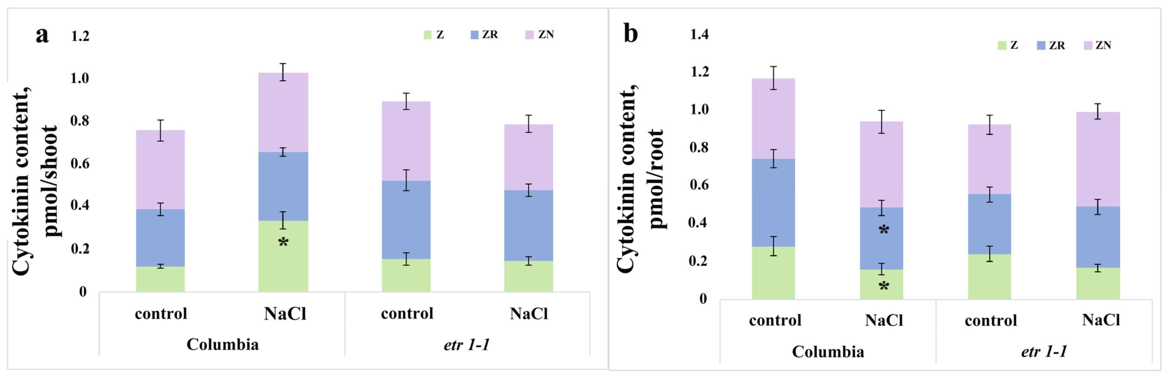 Cells 14 02003 g003 Cells 14 02003 g003