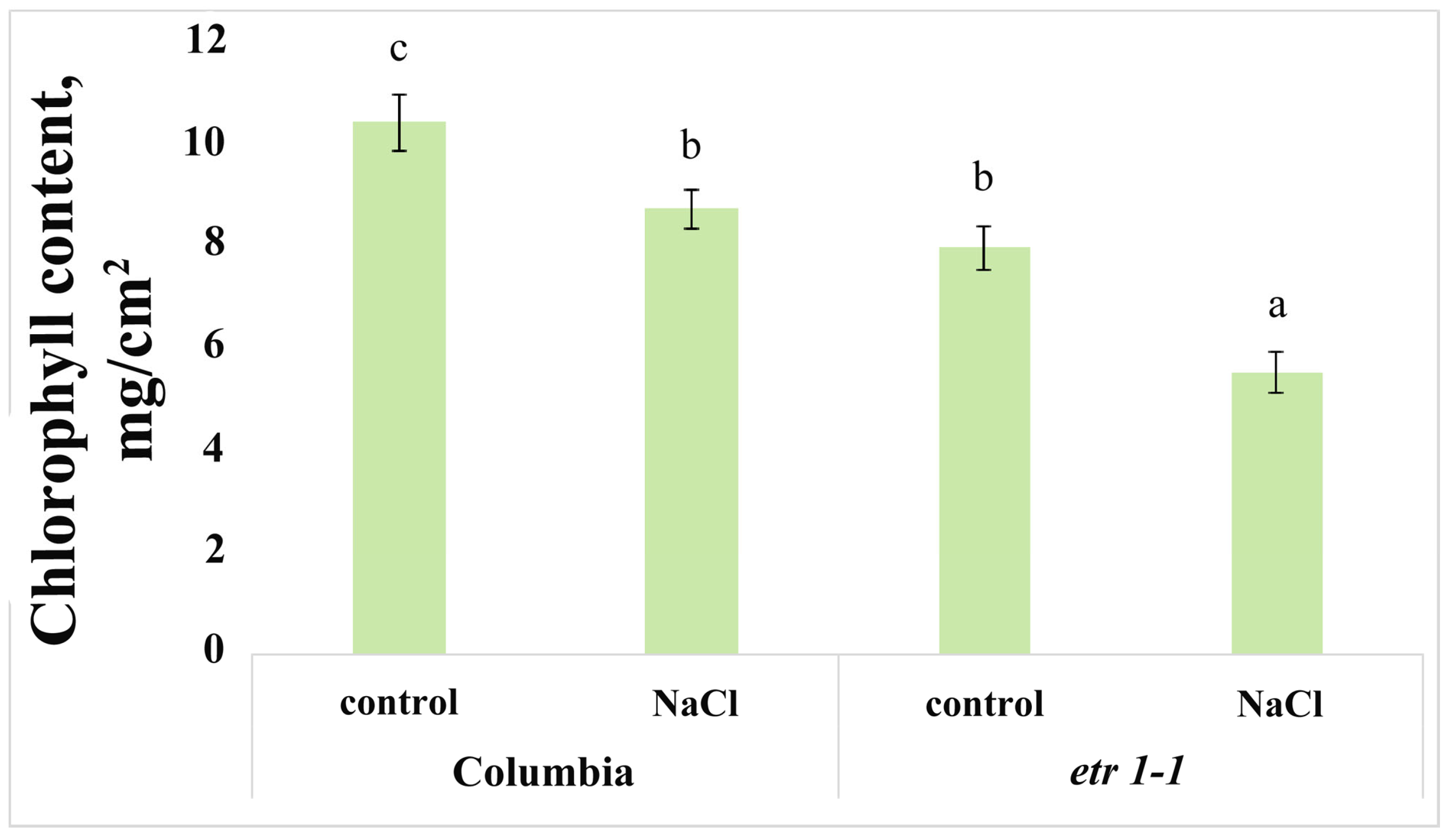 Cells 14 02003 g006 Cells 14 02003 g006