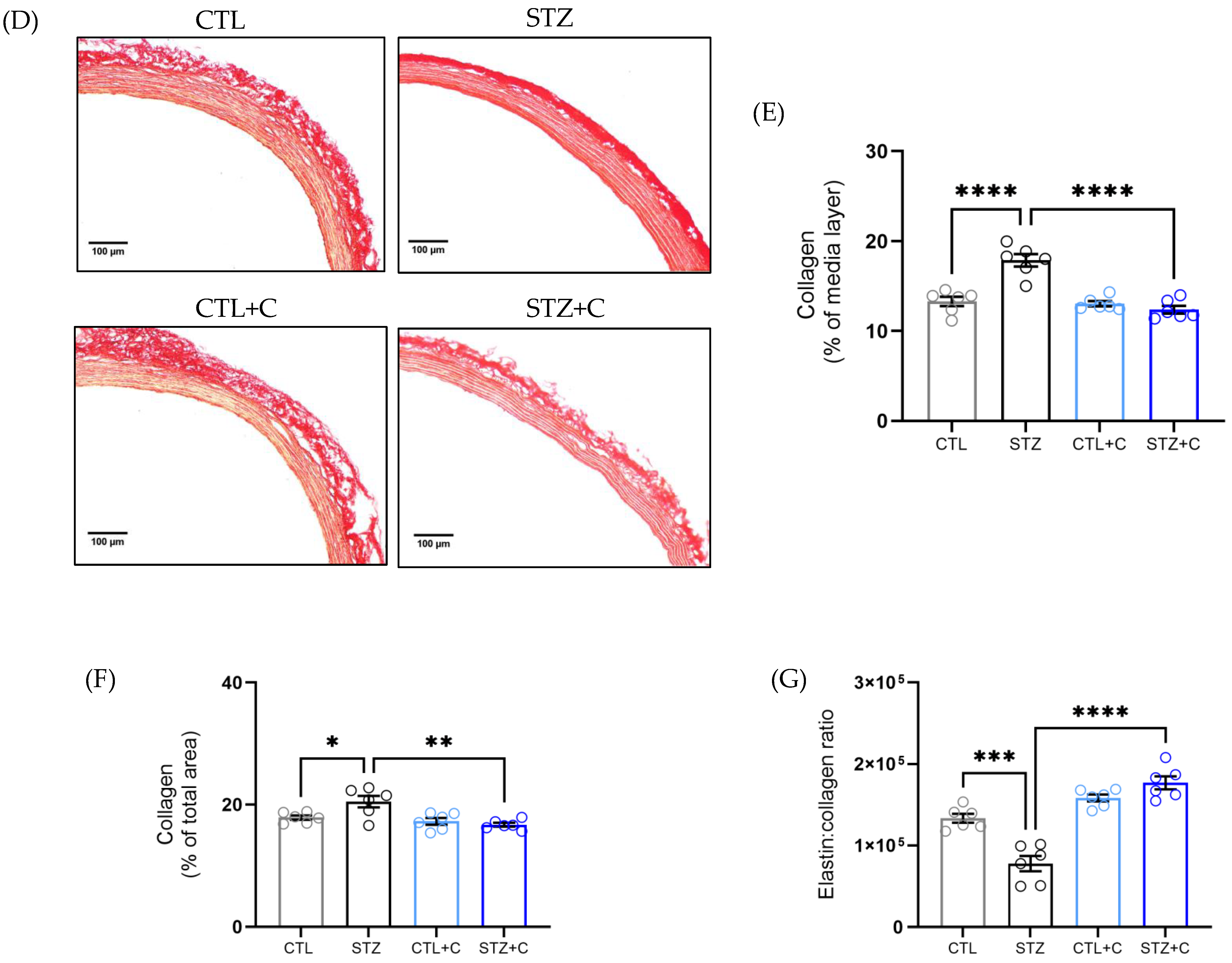 Cells 14 02015 g006b