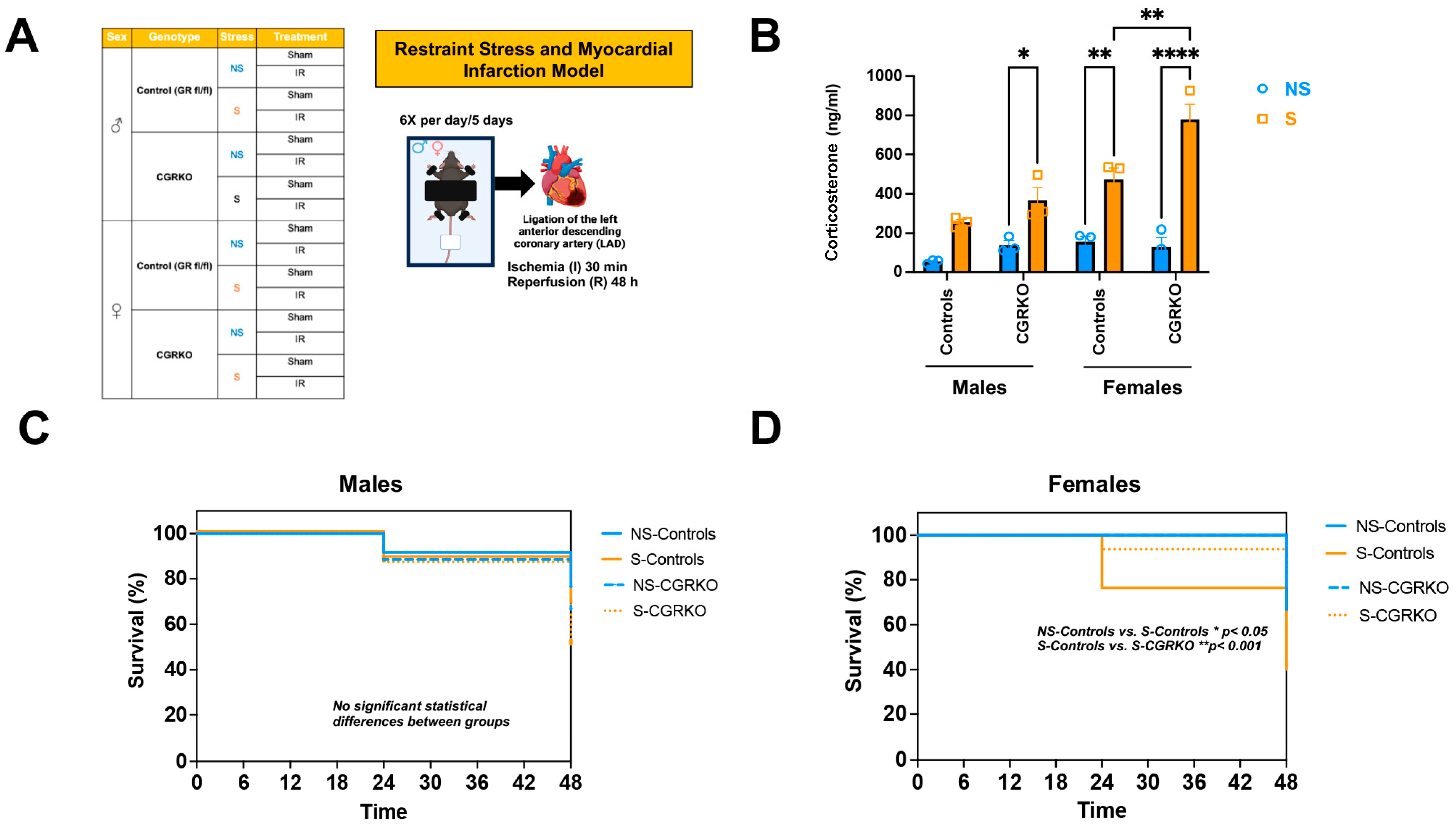 Cells 14 02017 g001 Cells 14 02017 g001