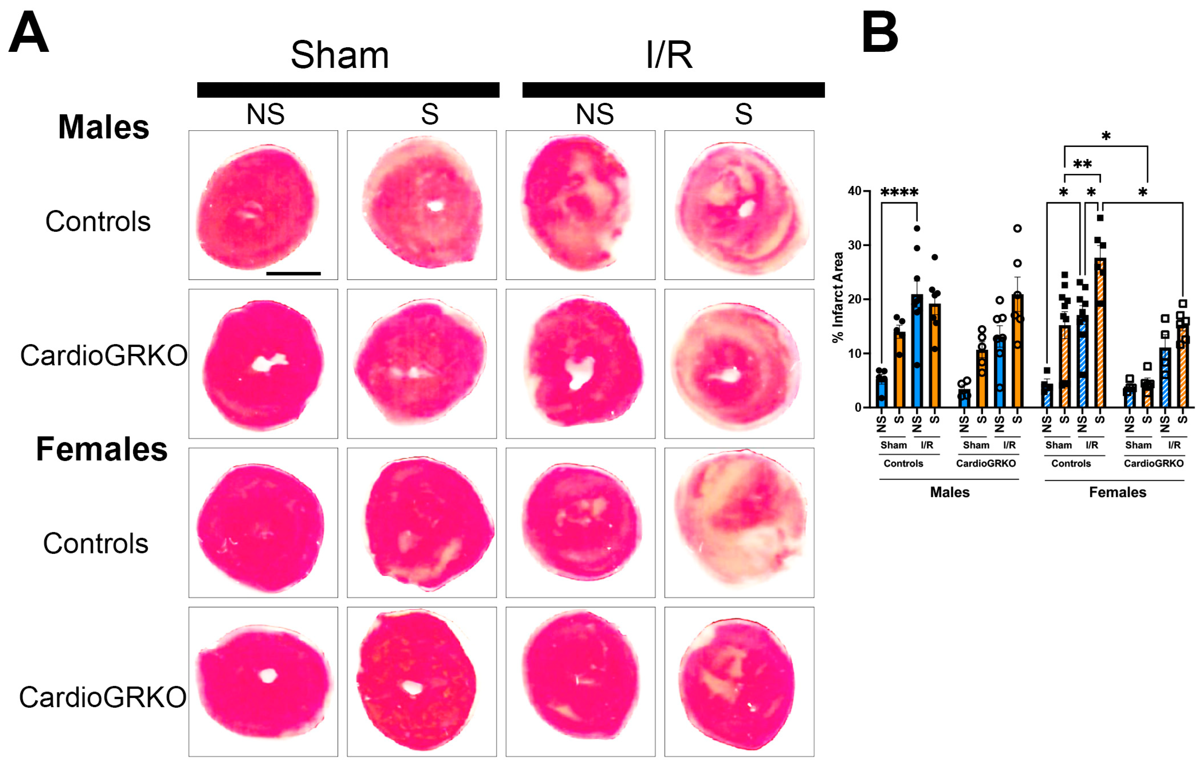 Cells 14 02017 g002 Cells 14 02017 g002