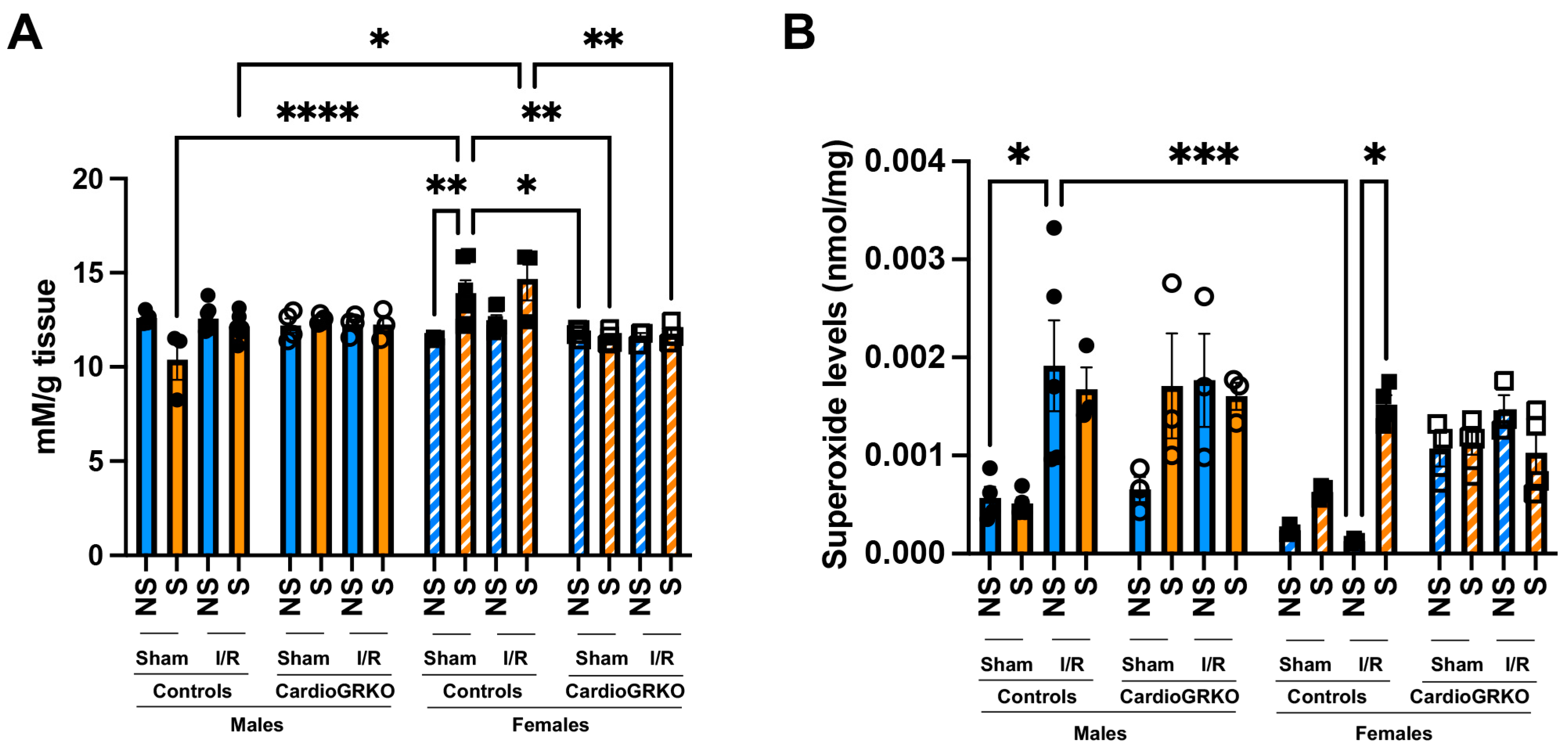 Cells 14 02017 g003 Cells 14 02017 g003