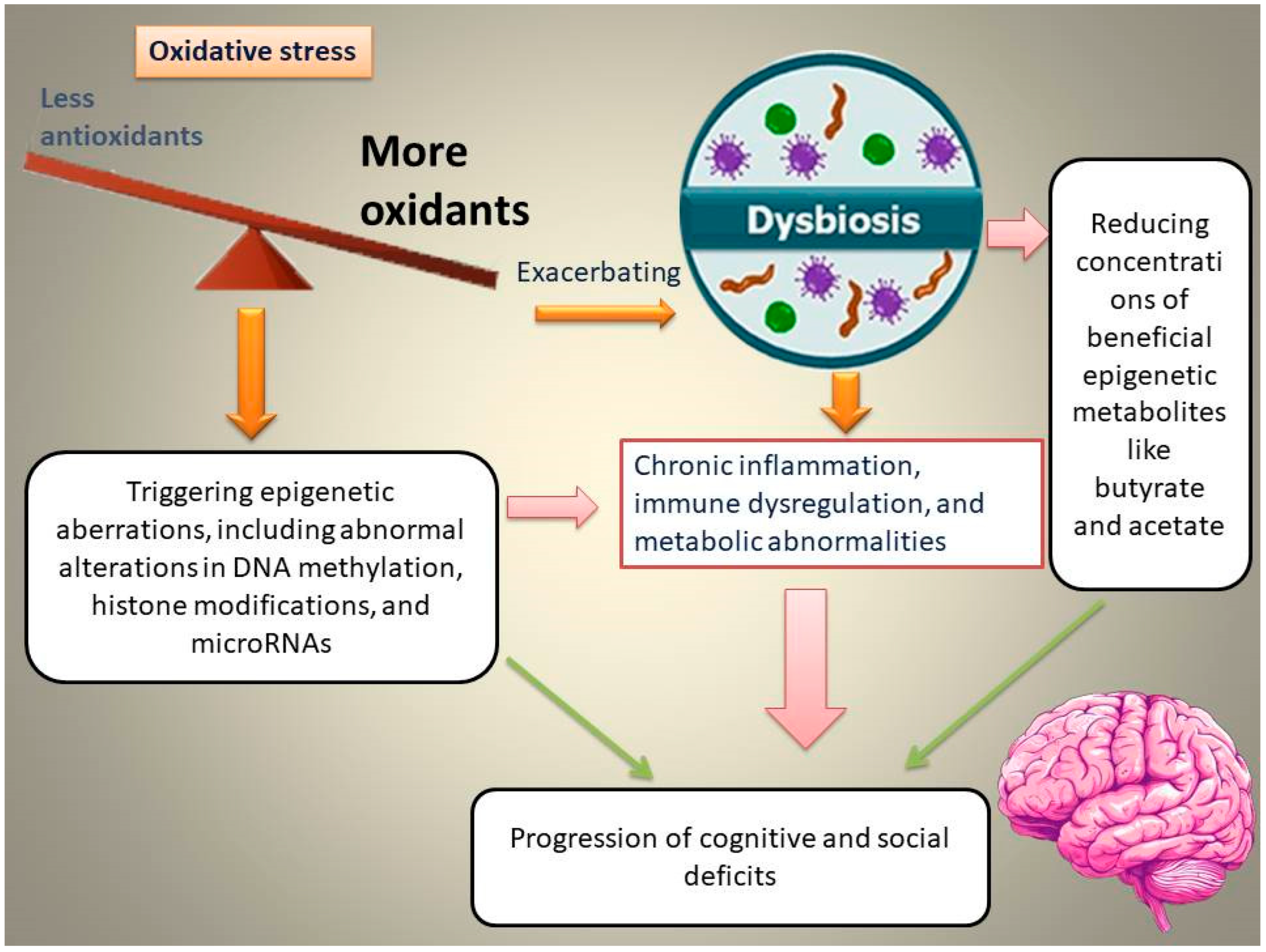 Cells 15 00003 g001 Cells 15 00003 g001