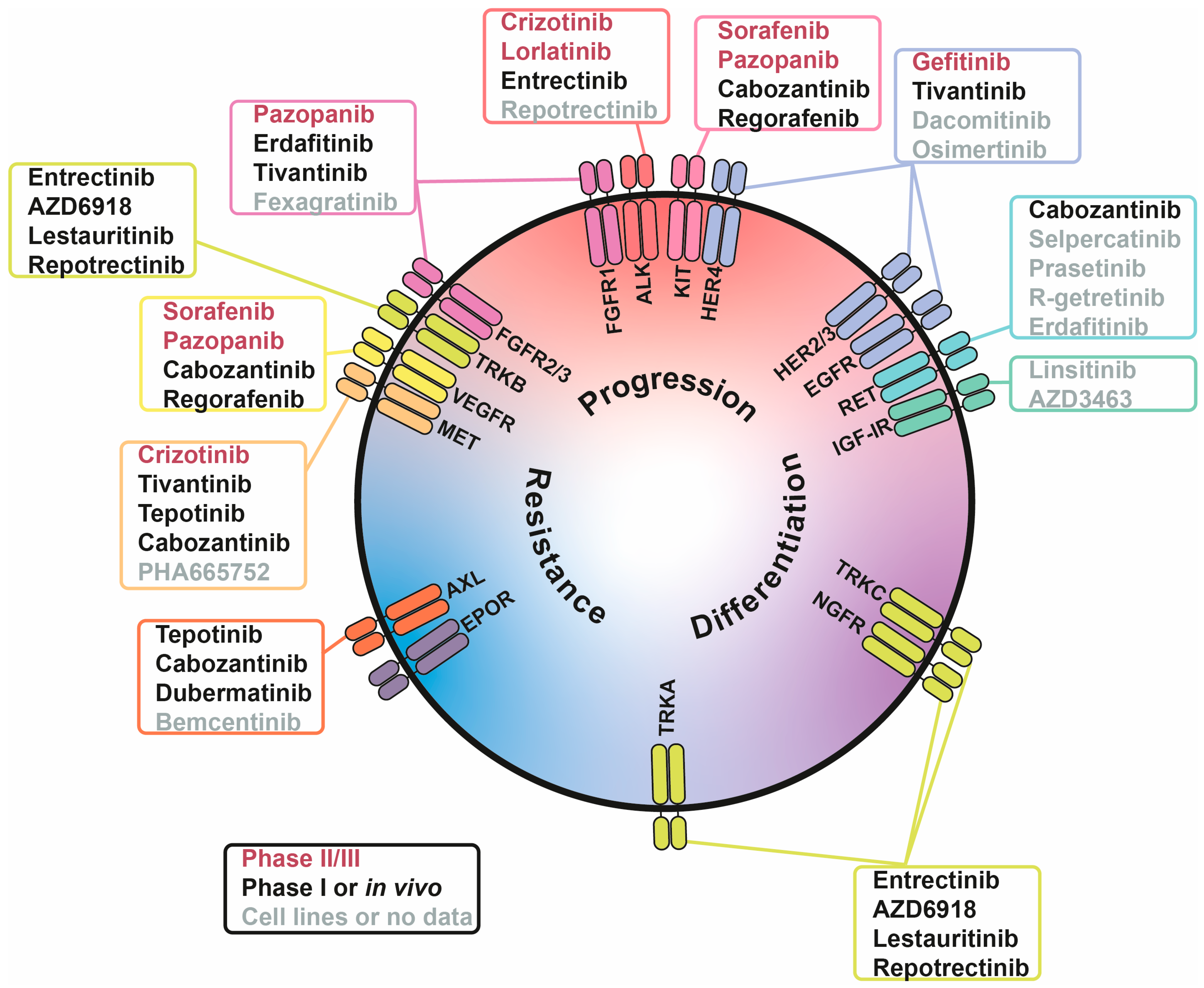 Cells 15 00004 g002 Cells 15 00004 g002