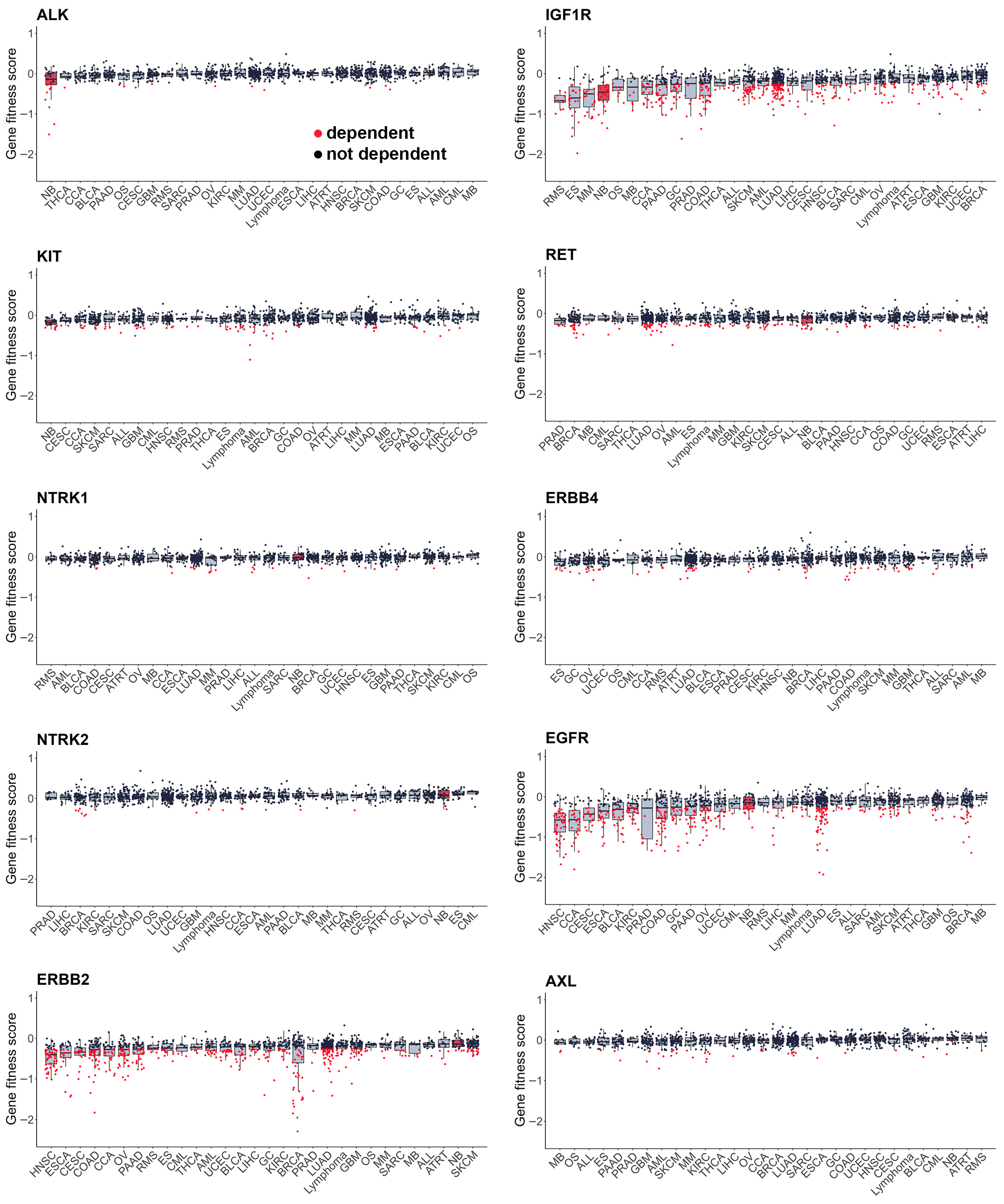 Cells 15 00004 g004 Cells 15 00004 g004