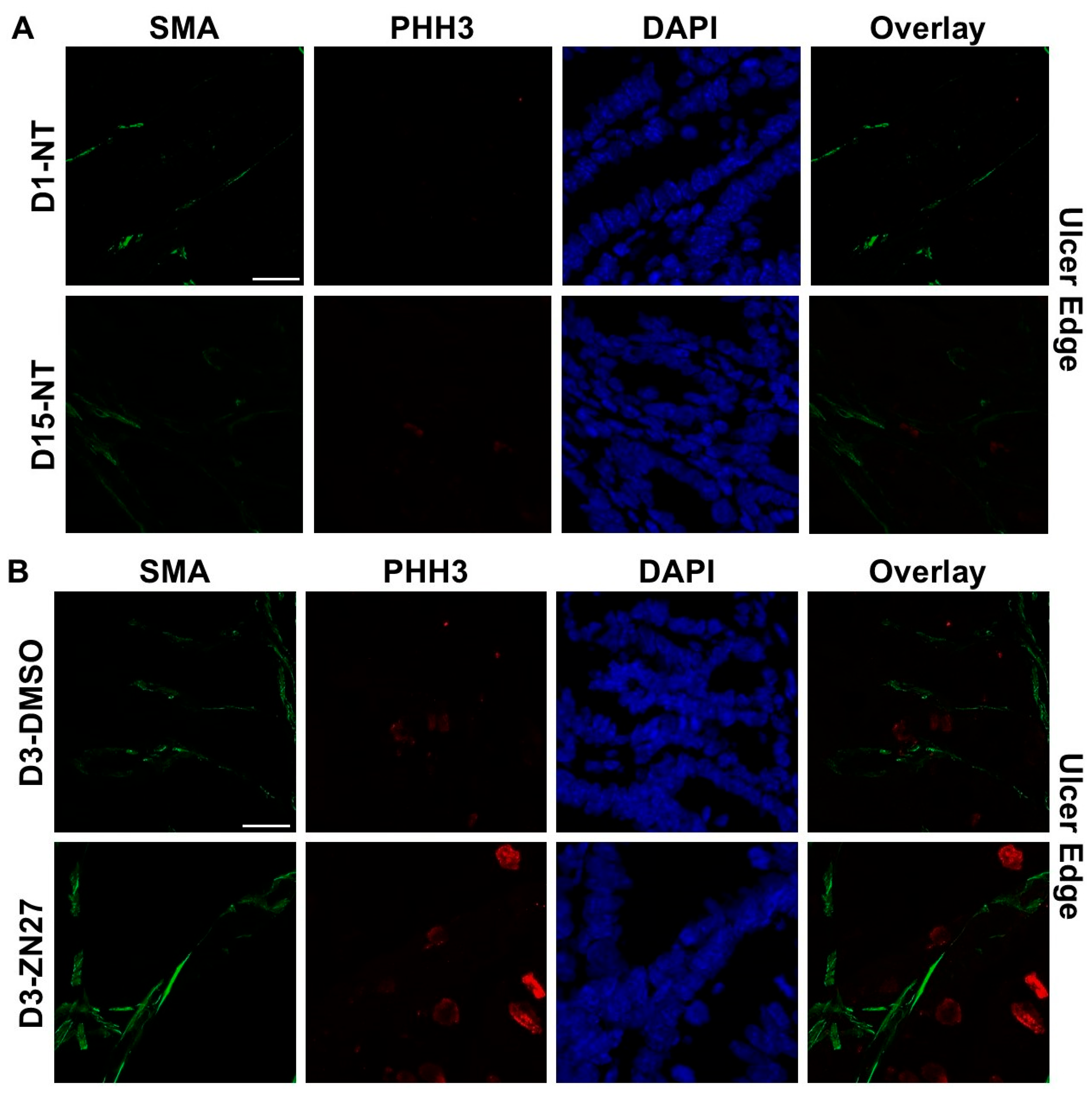 Cells 15 00016 g003a