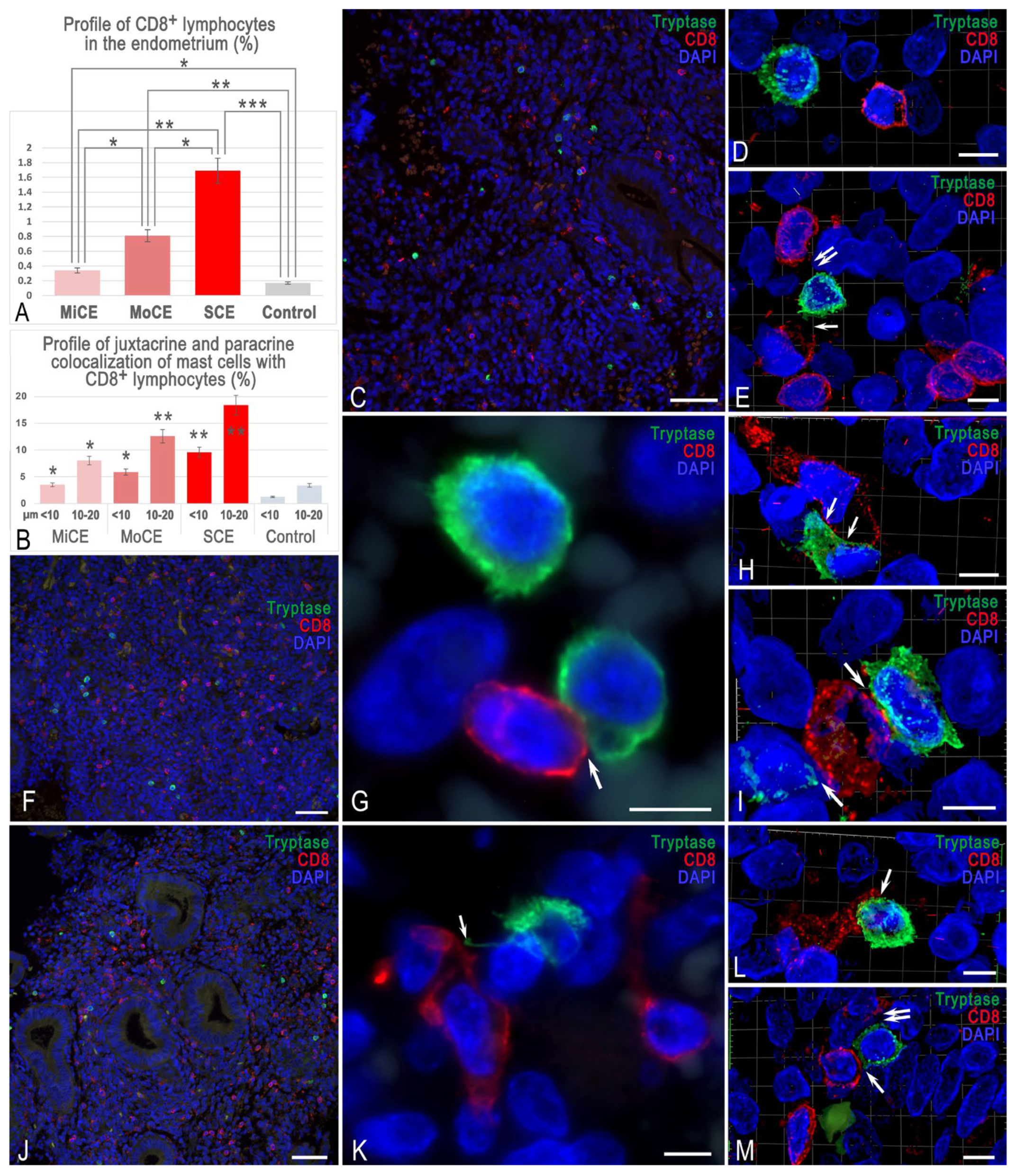 Cells 15 00038 g003 Cells 15 00038 g003