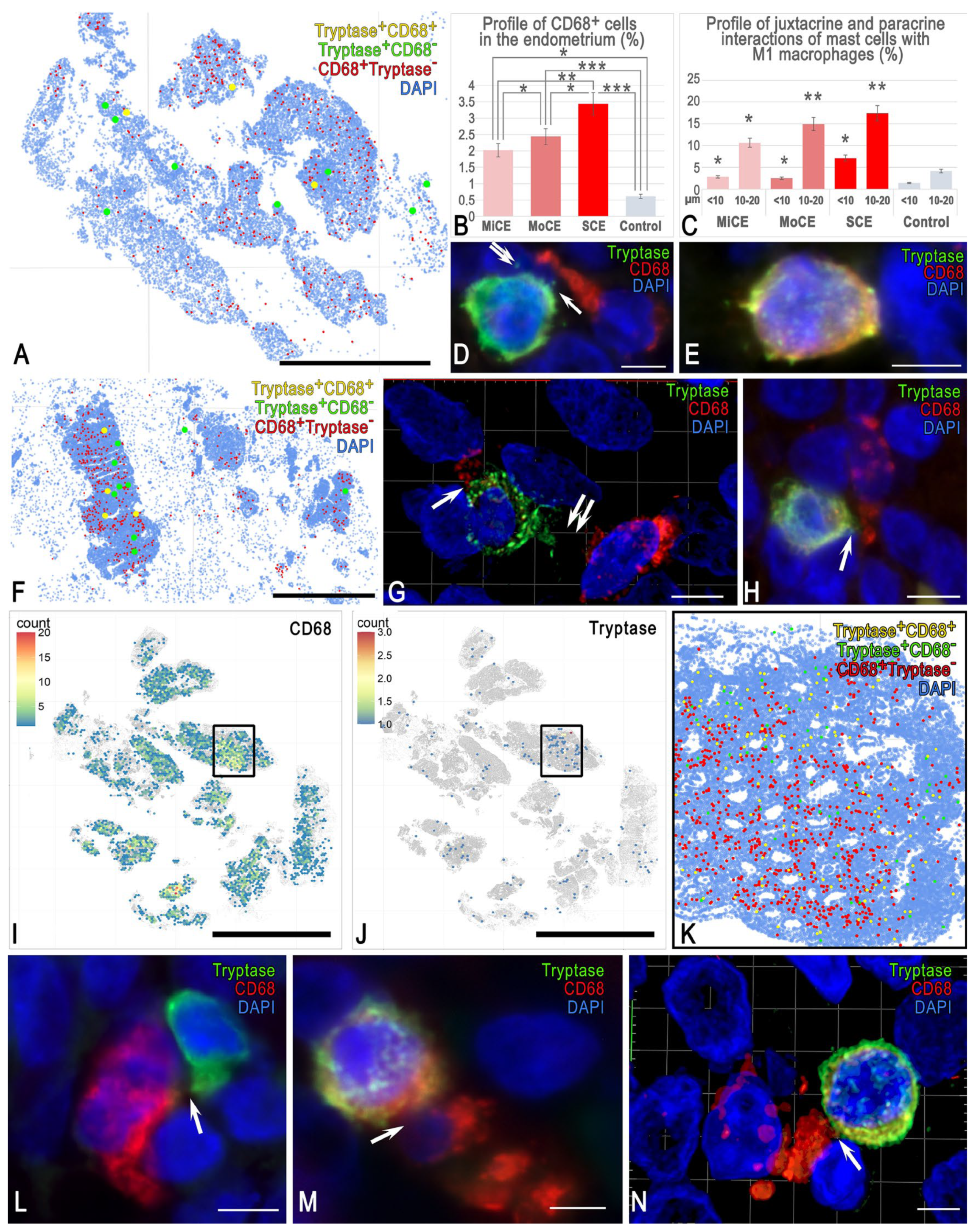 Cells 15 00038 g005 Cells 15 00038 g005