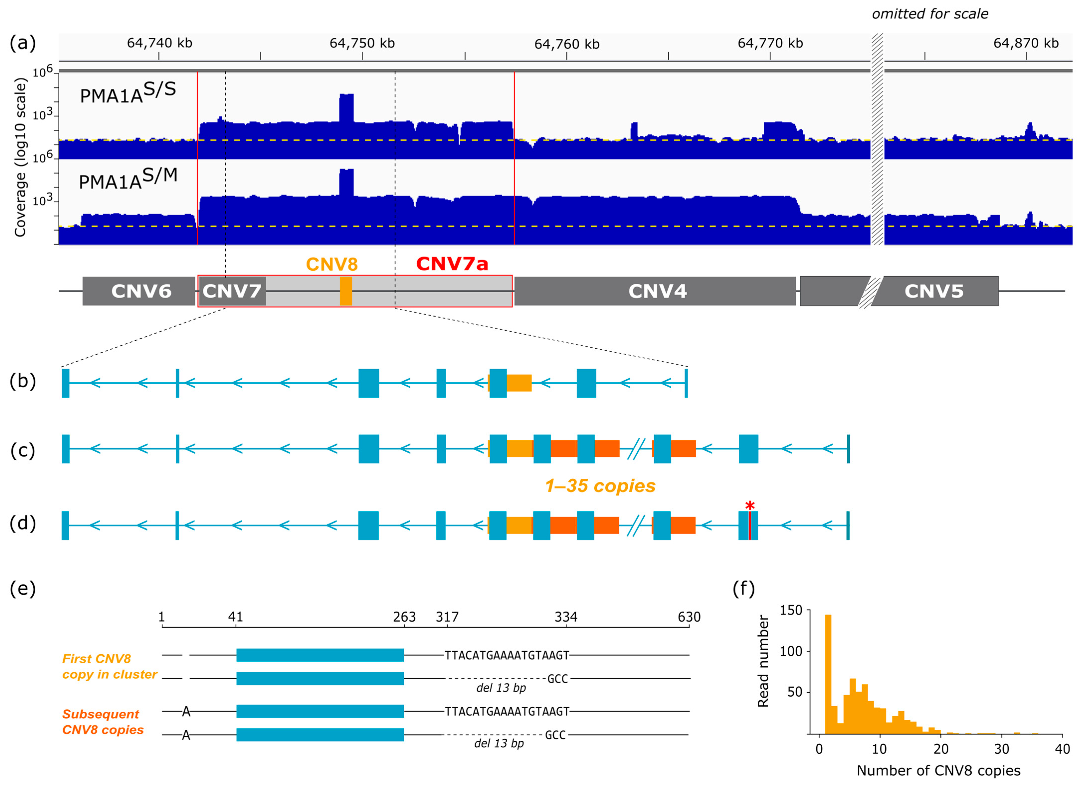 Cells 15 00052 g005 Cells 15 00052 g005