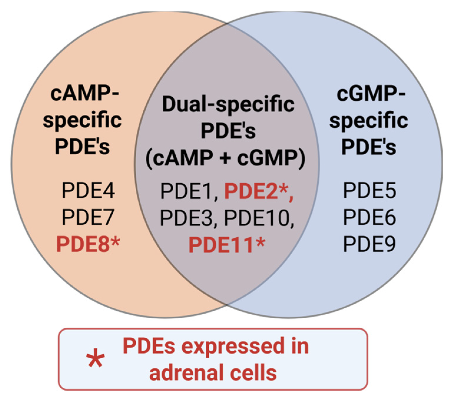 Cells 15 00063 g003 Cells 15 00063 g003