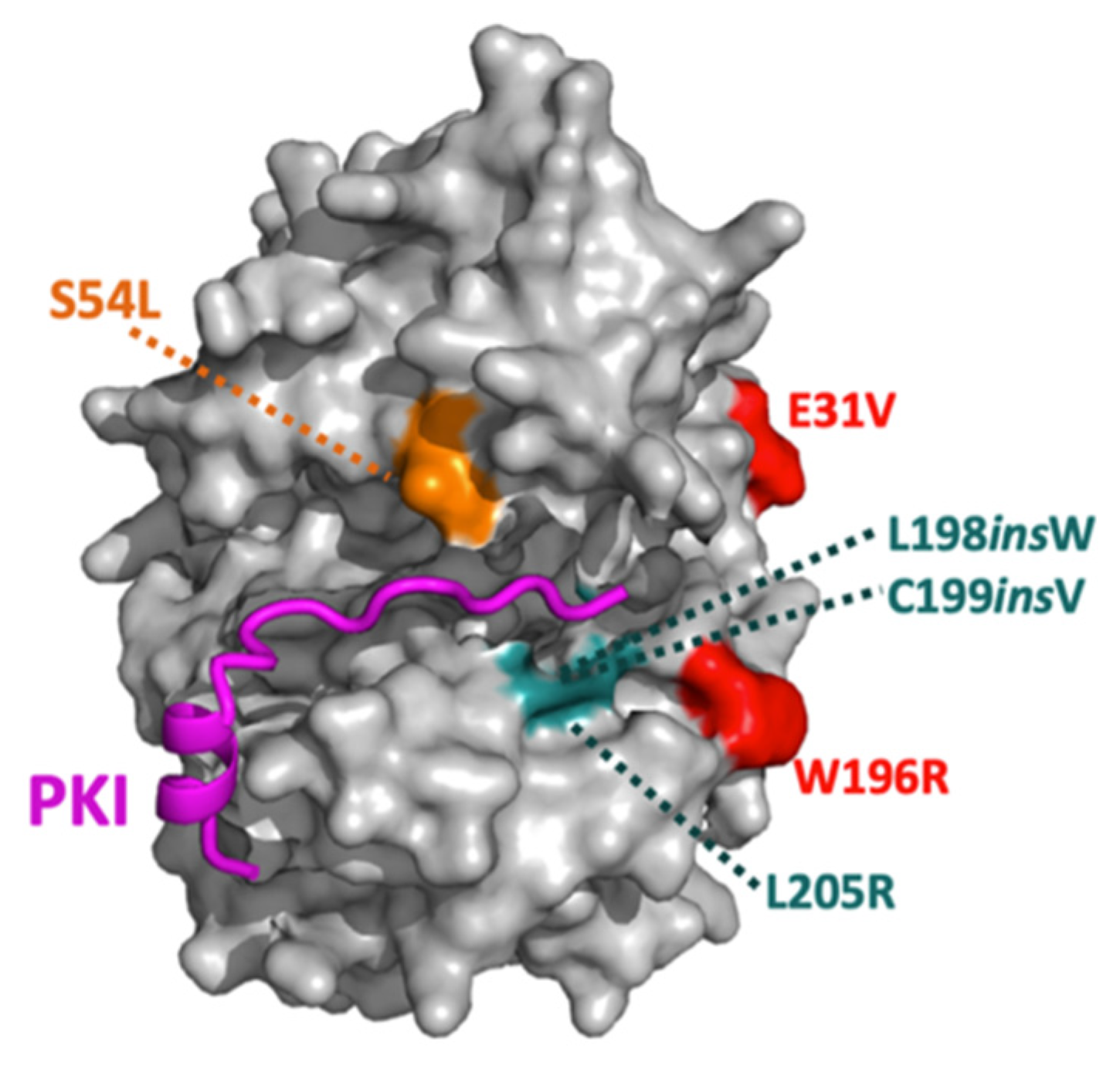 Cells 15 00063 g005 Cells 15 00063 g005