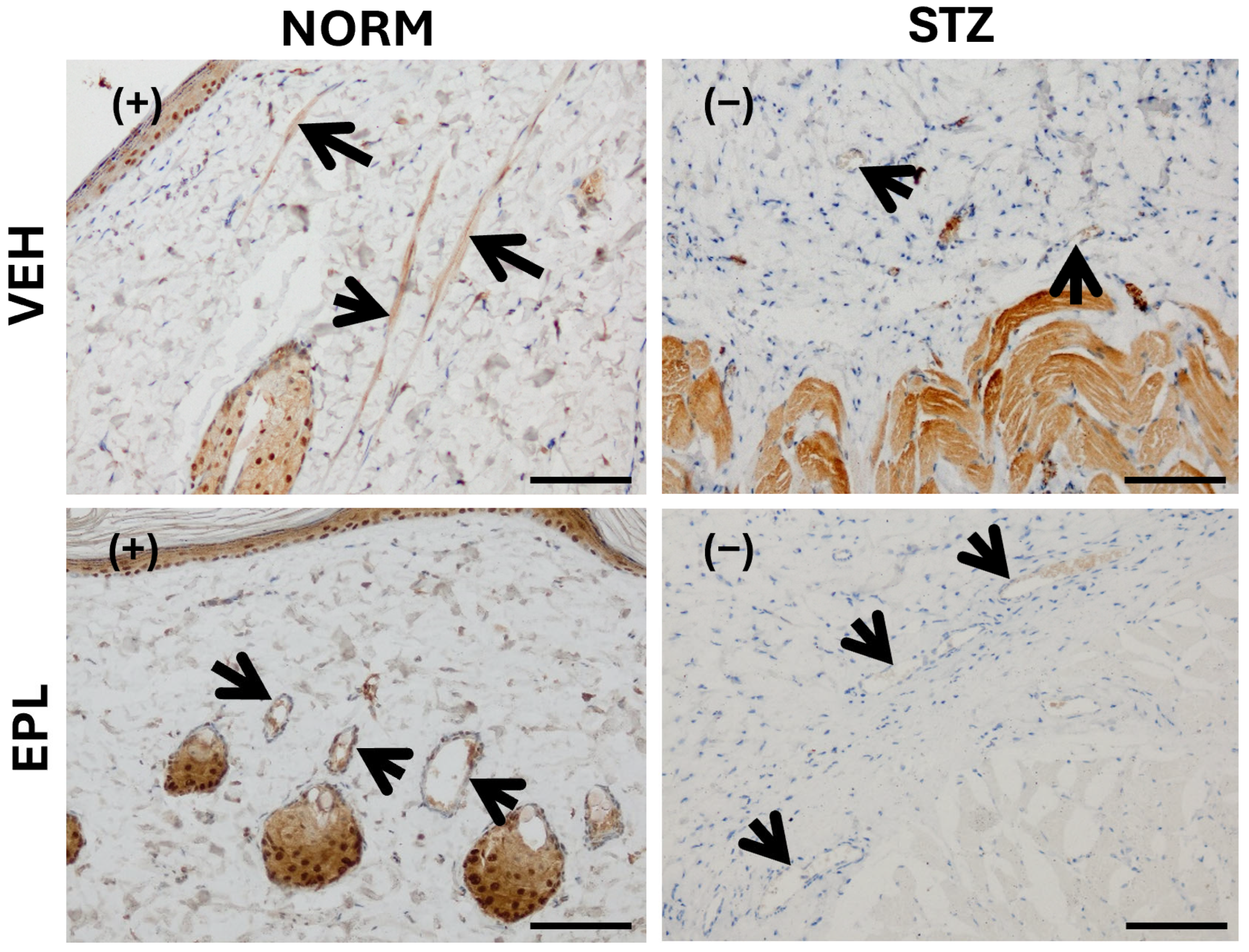 Cells 15 00089 g006
