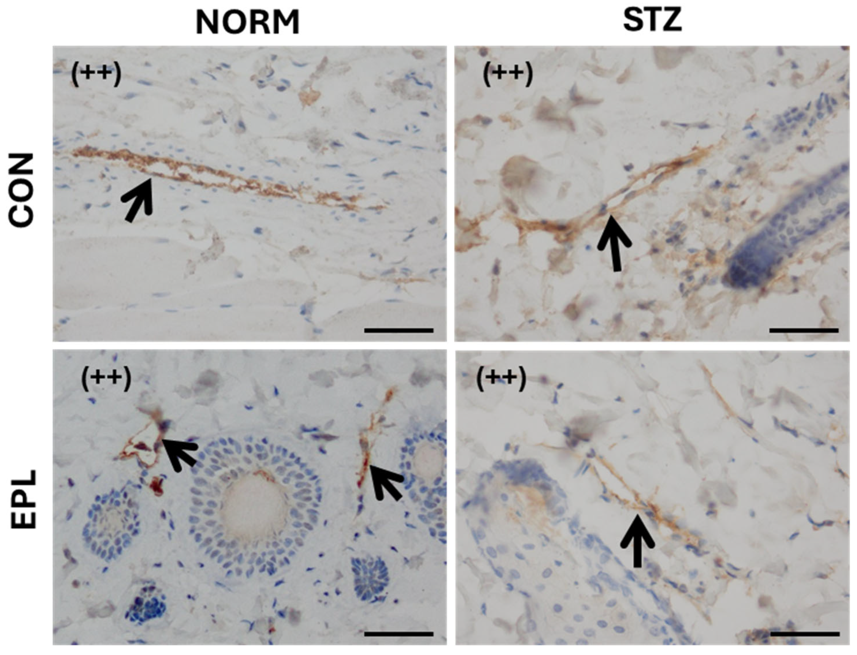 Cells 15 00089 g009