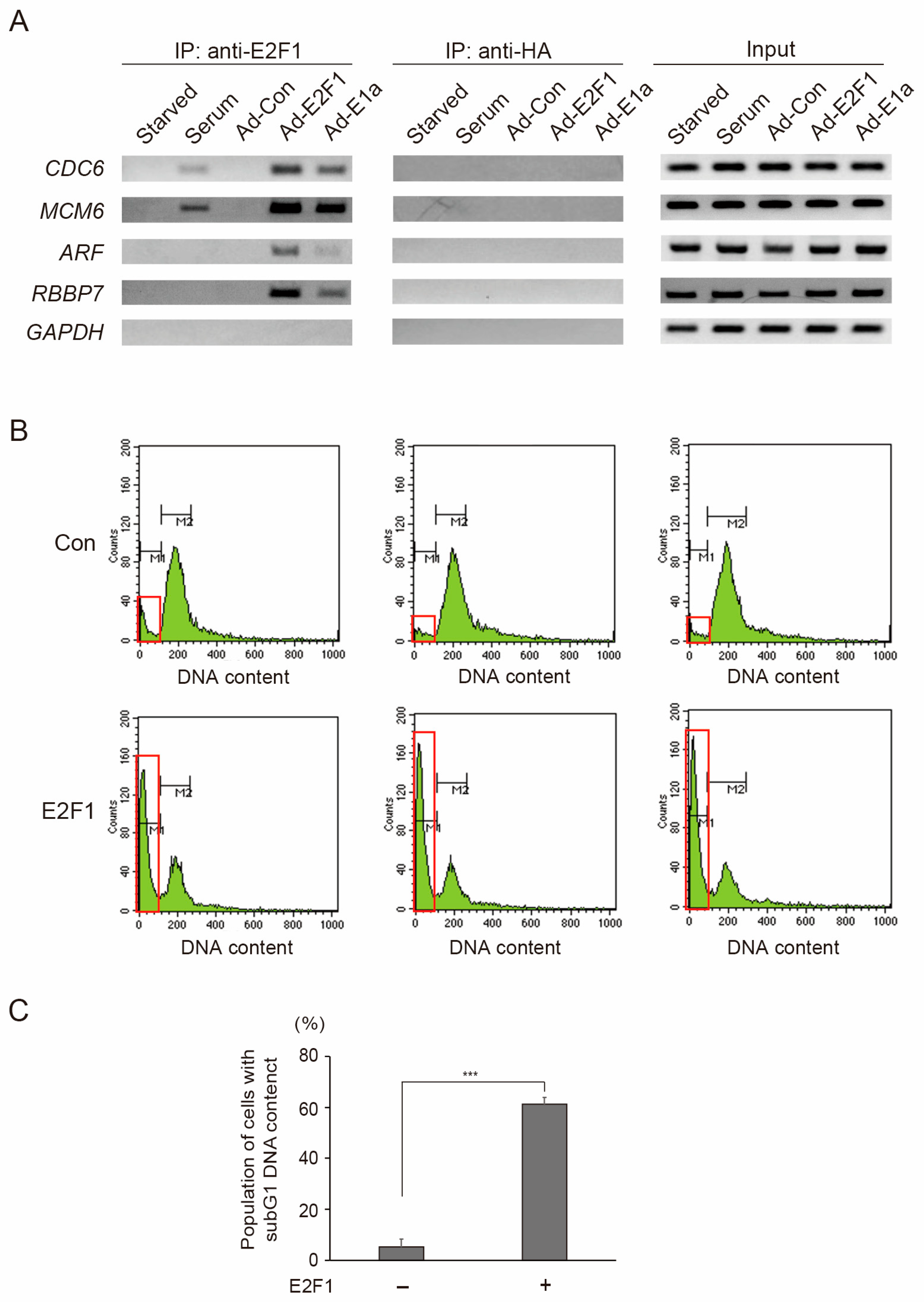 Cells 15 00090 g006