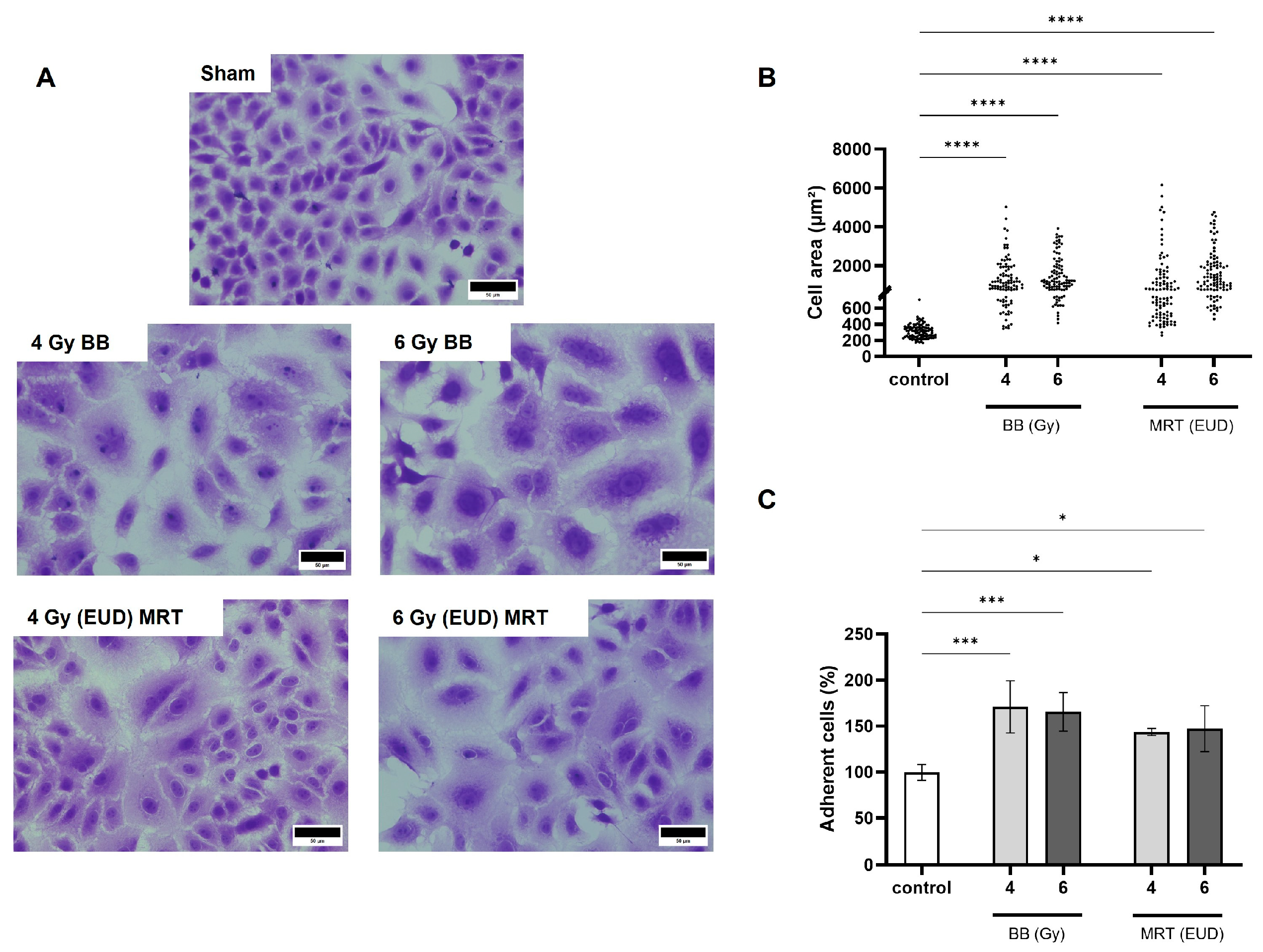 Cells 15 00107 g003 Cells 15 00107 g003