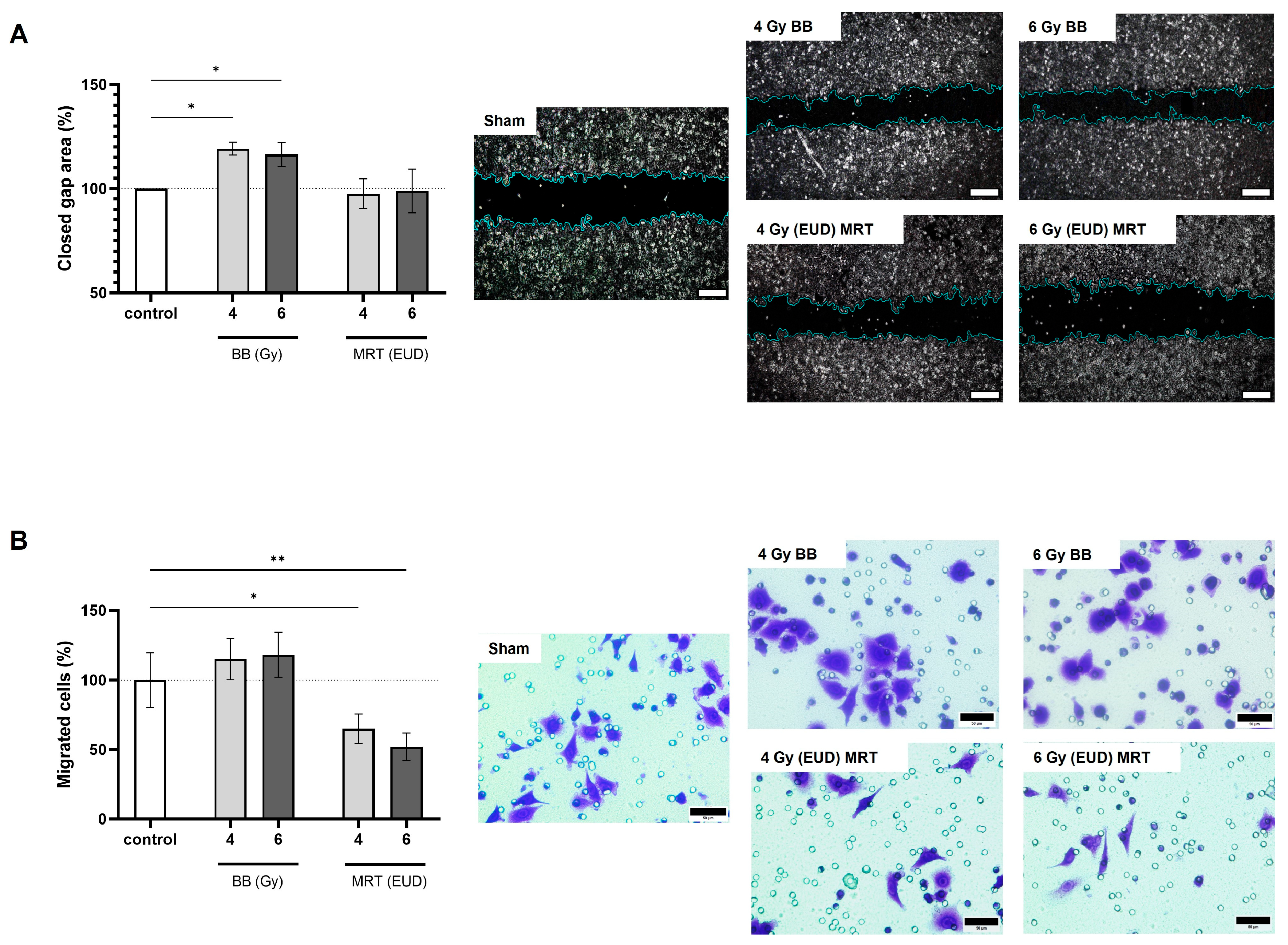Cells 15 00107 g004 Cells 15 00107 g004