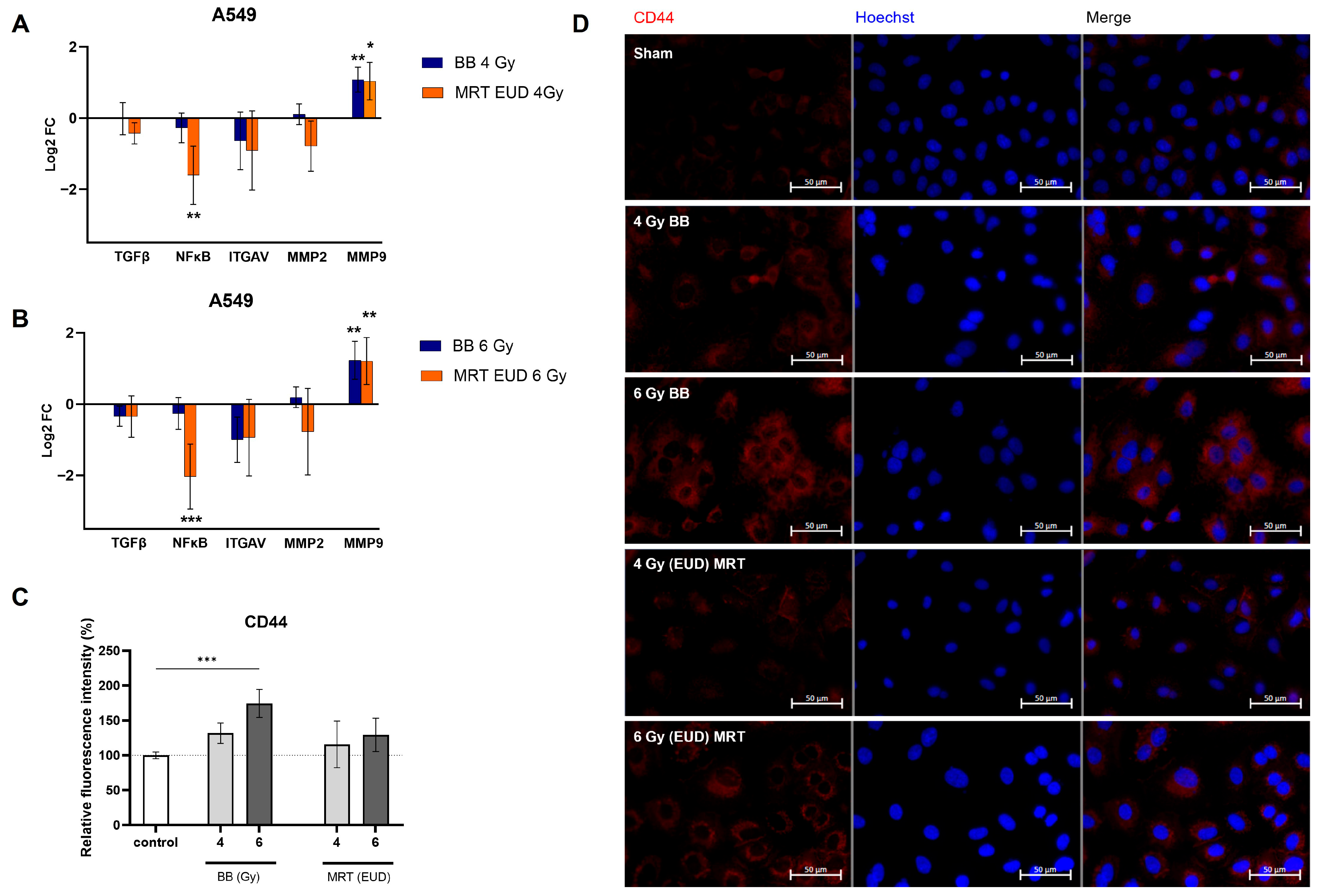 Cells 15 00107 g005 Cells 15 00107 g005
