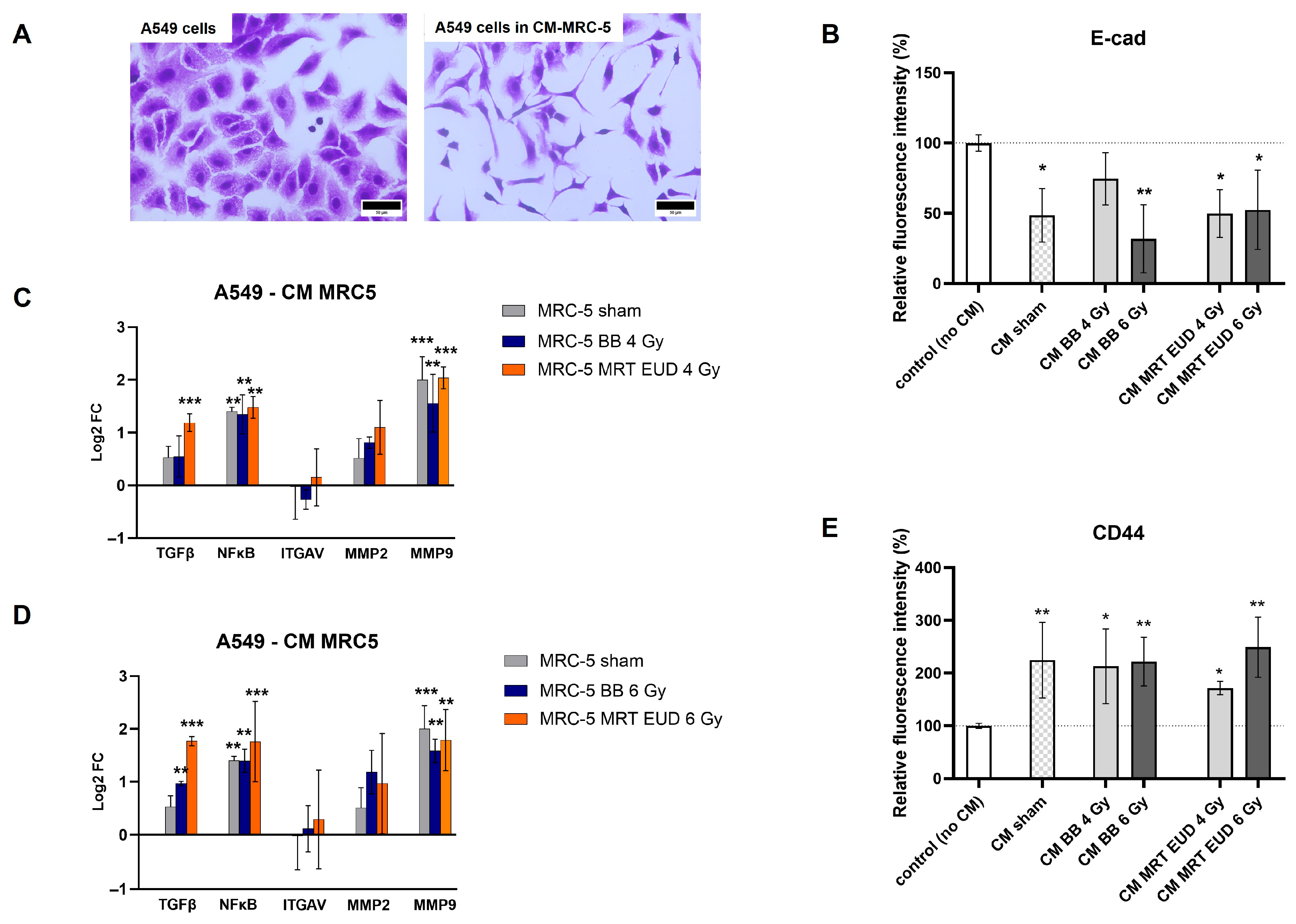 Cells 15 00107 g006 Cells 15 00107 g006