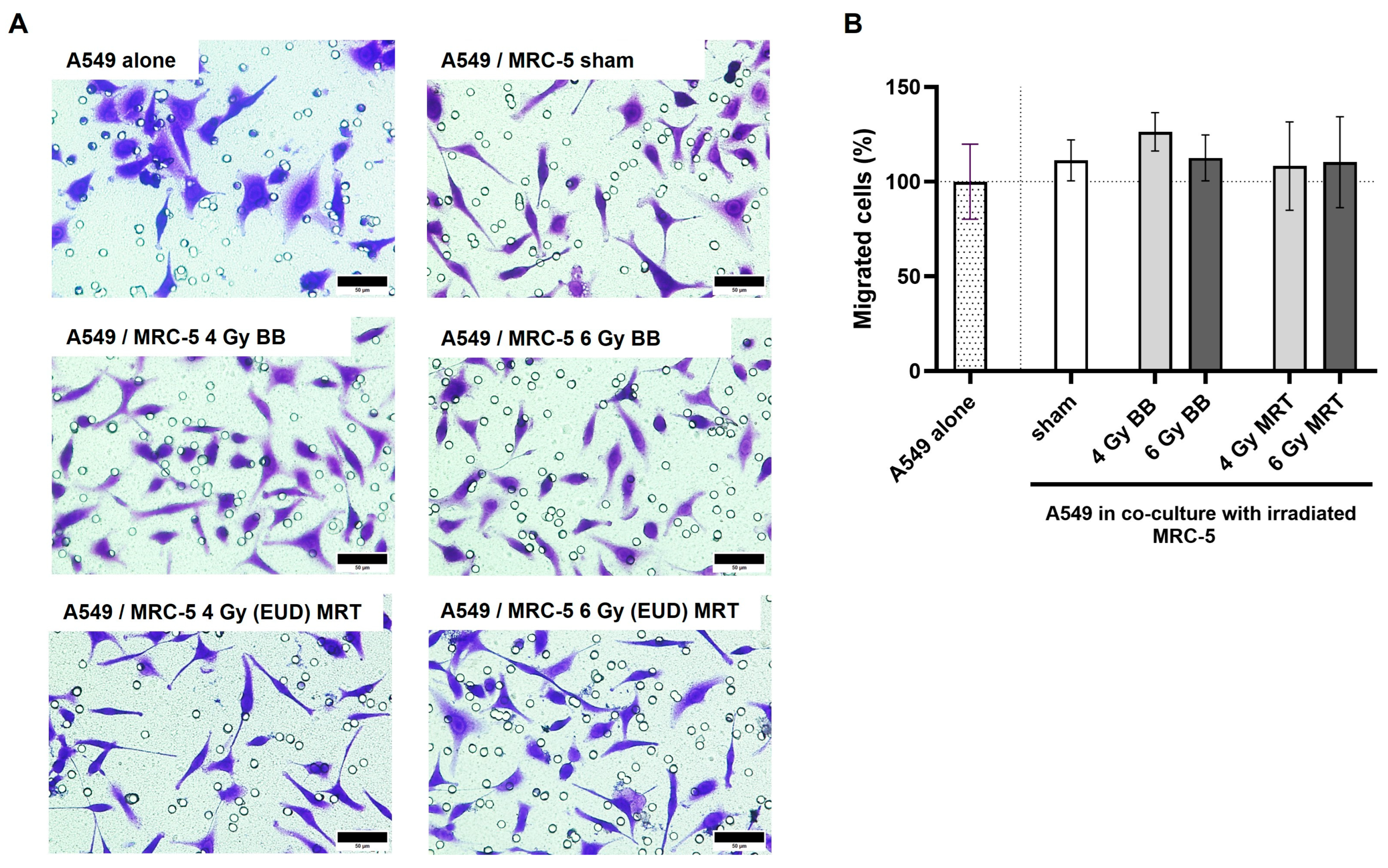 Cells 15 00107 g007 Cells 15 00107 g007