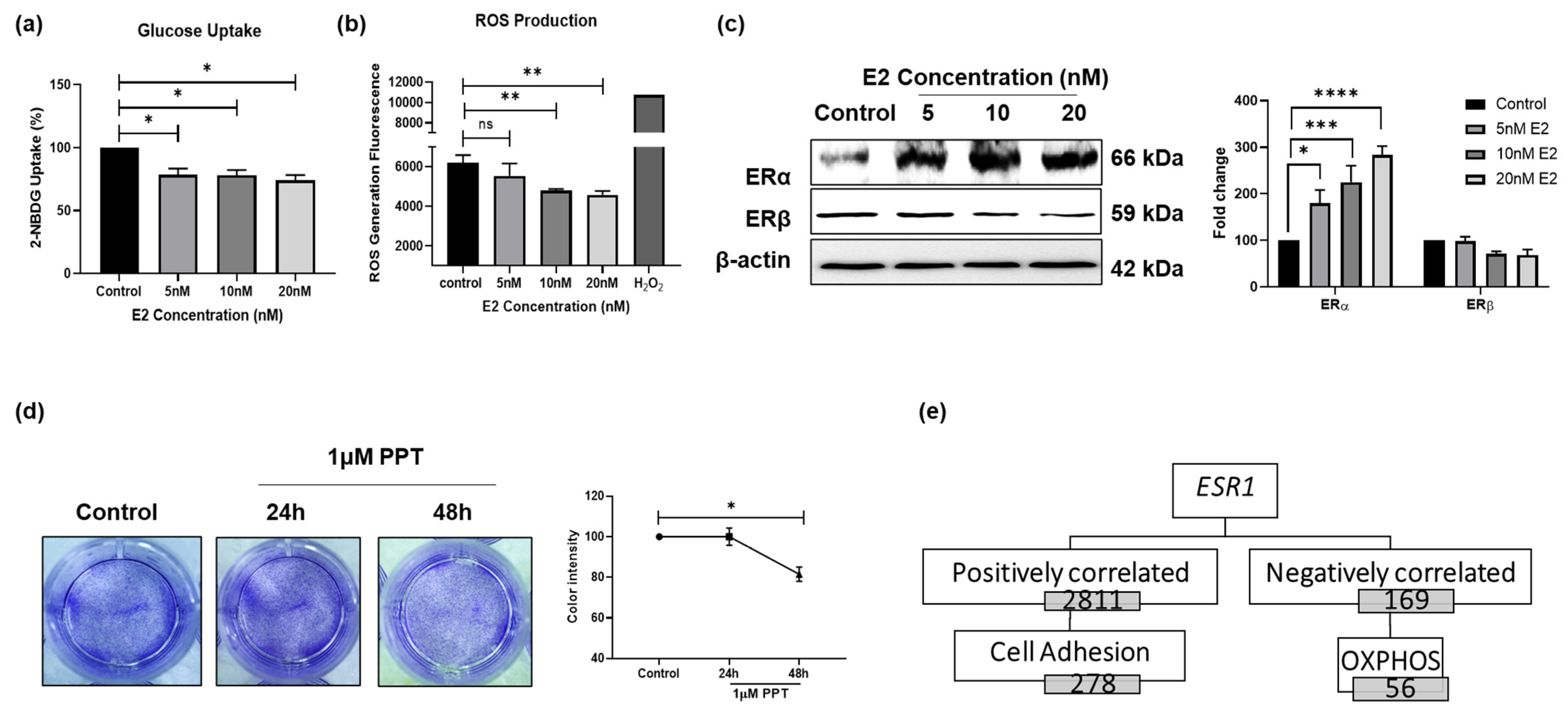 Cells 15 00124 g002 Cells 15 00124 g002